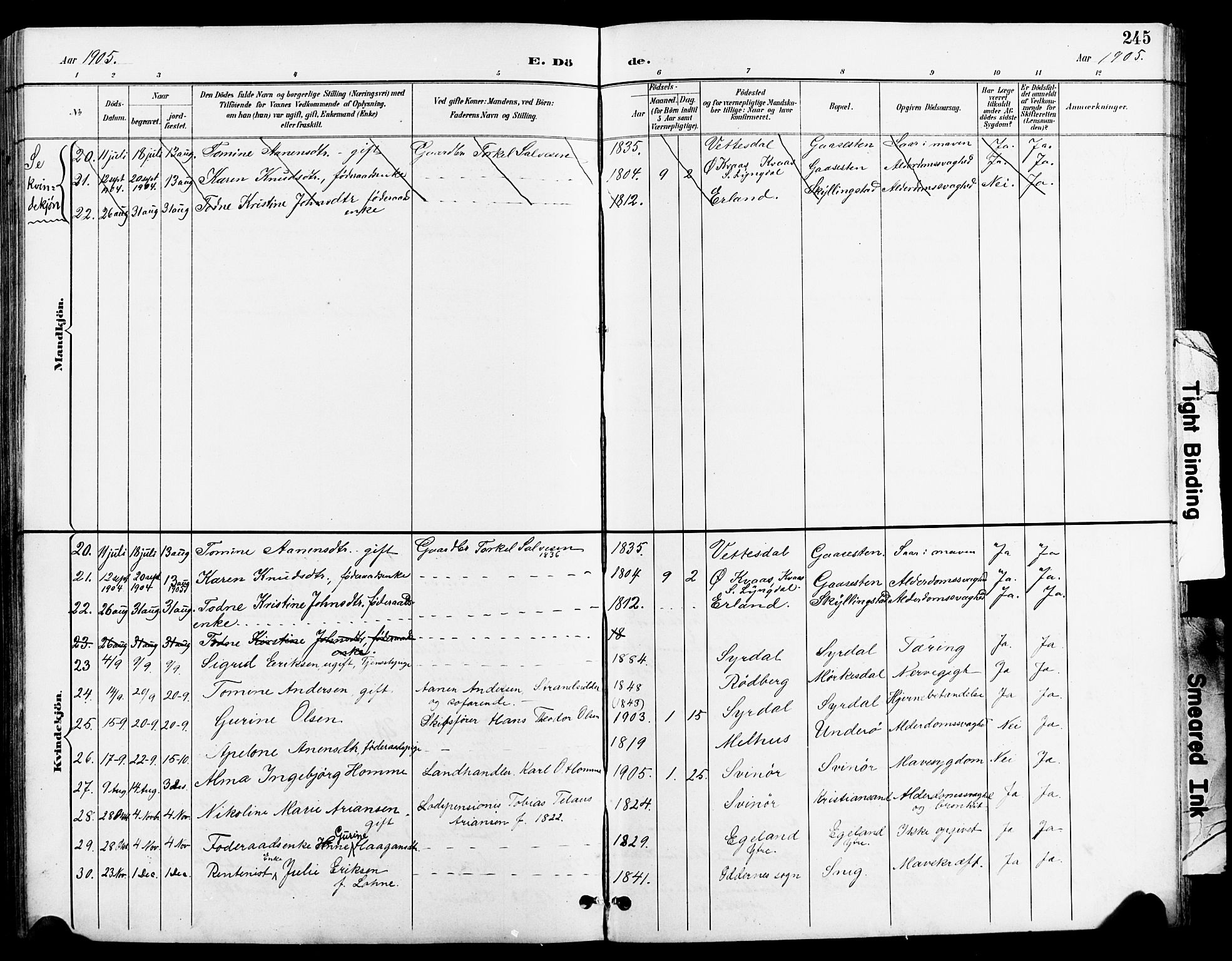 Sør-Audnedal sokneprestkontor, AV/SAK-1111-0039/F/Fb/Fbb/L0006: Parish register (copy) no. B 6, 1893-1915, p. 245