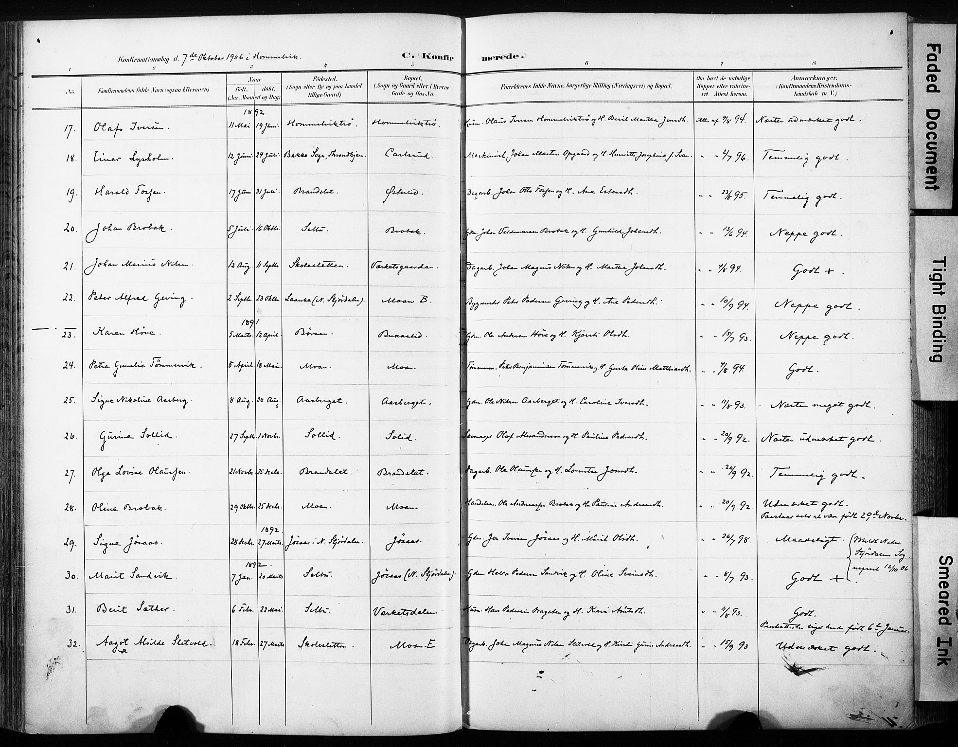 Ministerialprotokoller, klokkerbøker og fødselsregistre - Sør-Trøndelag, AV/SAT-A-1456/616/L0411: Parish register (official) no. 616A08, 1894-1906