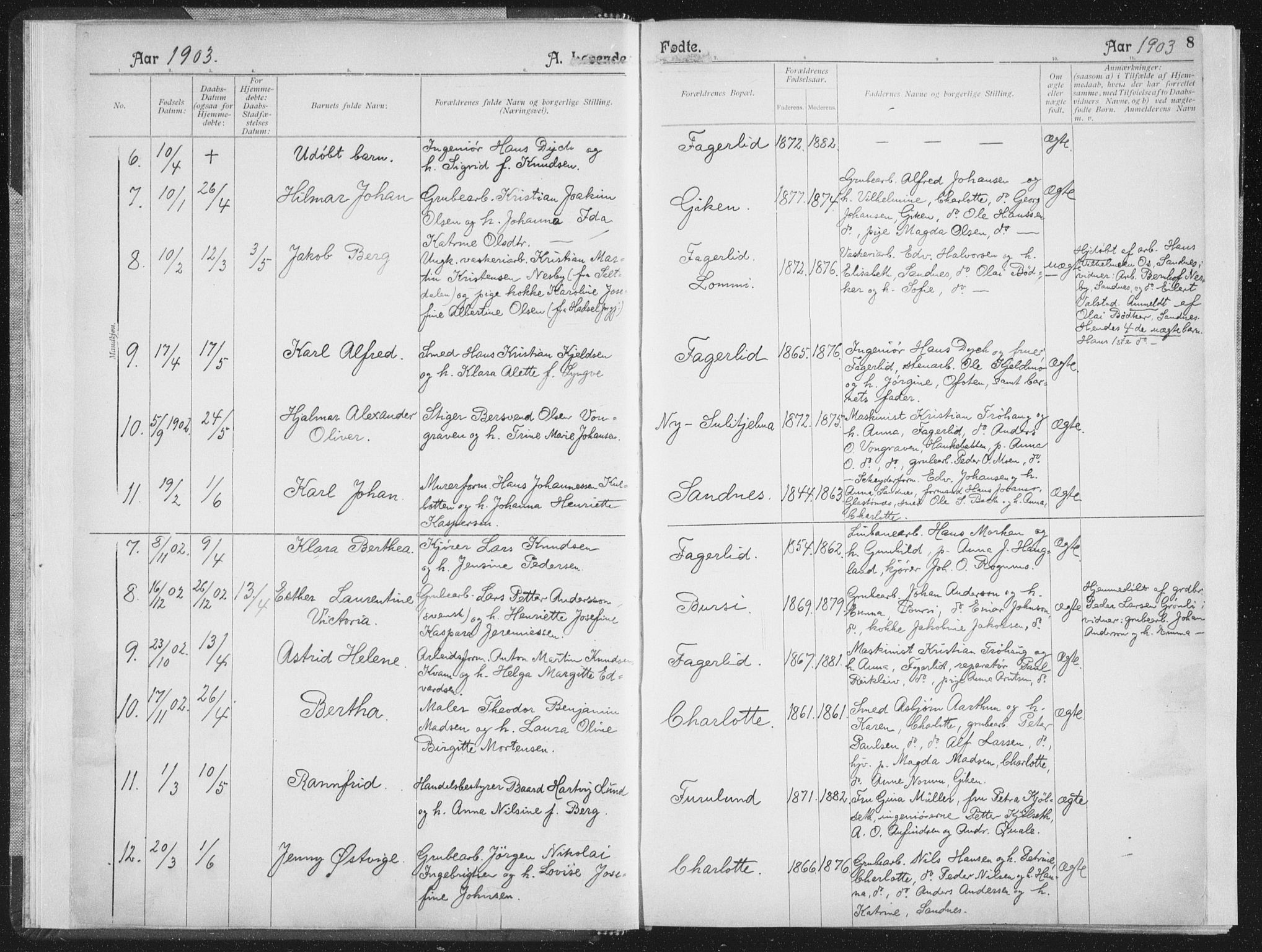 Ministerialprotokoller, klokkerbøker og fødselsregistre - Nordland, AV/SAT-A-1459/850/L0711: Curate's parish register no. 850B01, 1902-1915, p. 8