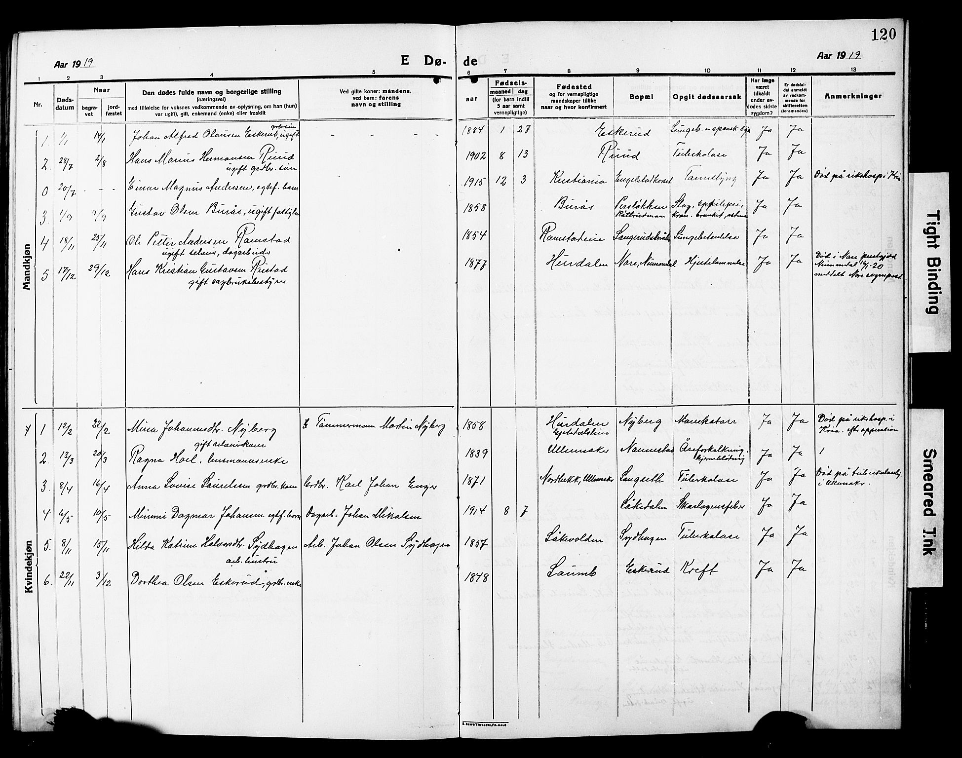 Nannestad prestekontor Kirkebøker, SAO/A-10414a/G/Ga/L0003: Parish register (copy) no. I 3, 1914-1929, p. 120