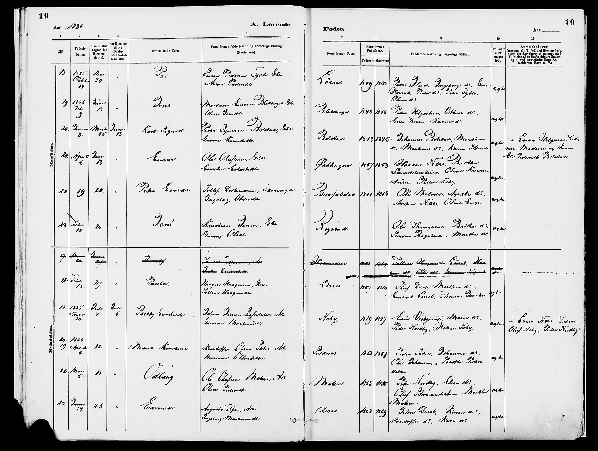 Åmot prestekontor, Hedmark, SAH/PREST-056/H/Ha/Haa/L0010: Parish register (official) no. 10, 1884-1889, p. 19