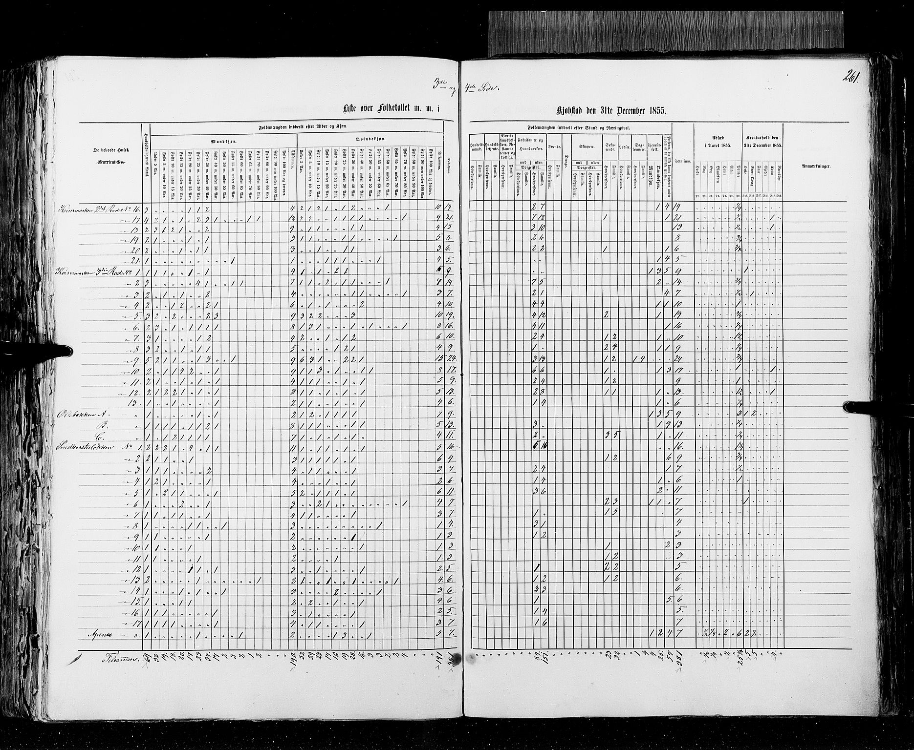 RA, Census 1855, vol. 2: Kristians amt, Buskerud amt og Jarlsberg og Larvik amt, 1855, p. 261