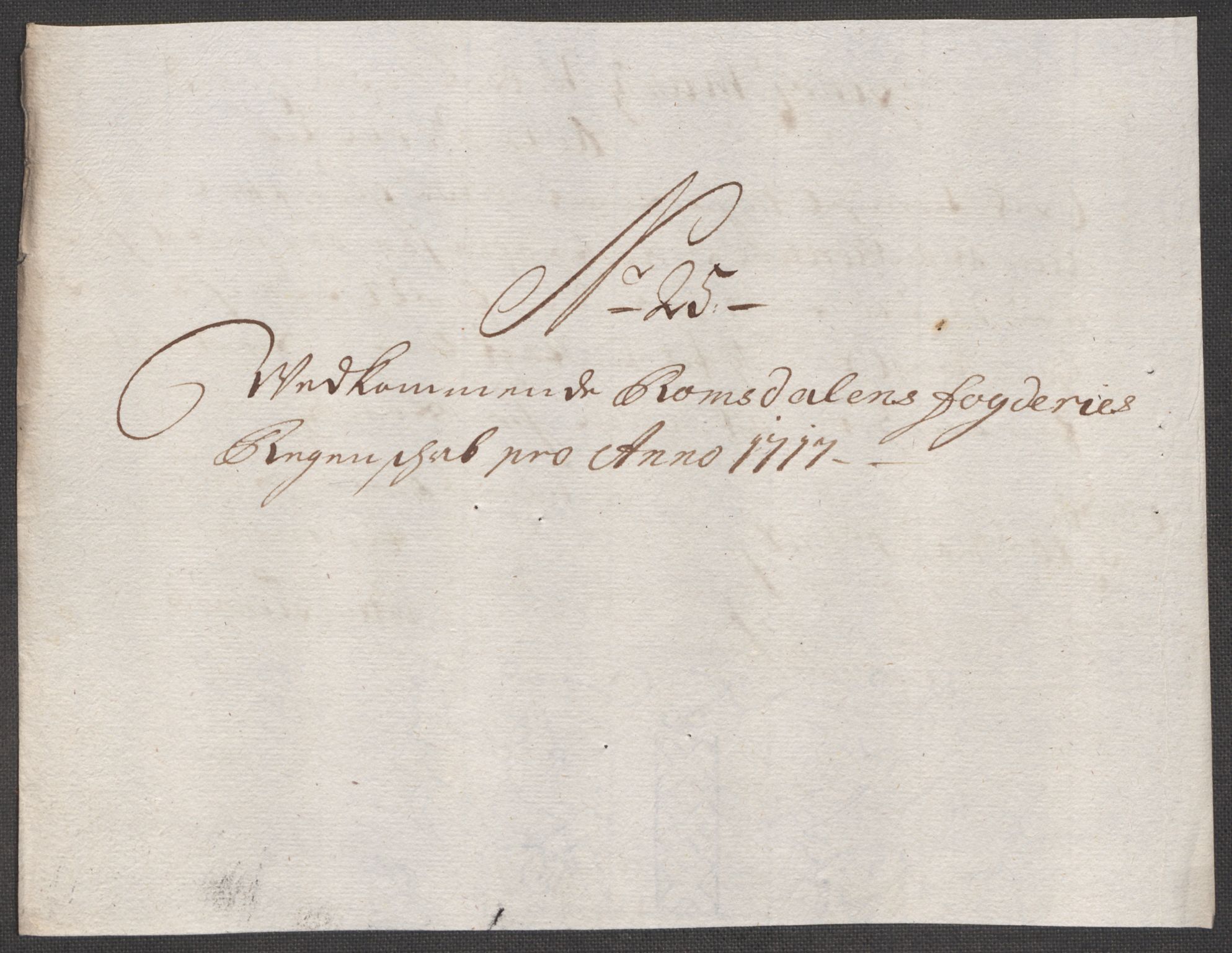 Rentekammeret inntil 1814, Reviderte regnskaper, Fogderegnskap, RA/EA-4092/R55/L3664: Fogderegnskap Romsdal, 1717, p. 174