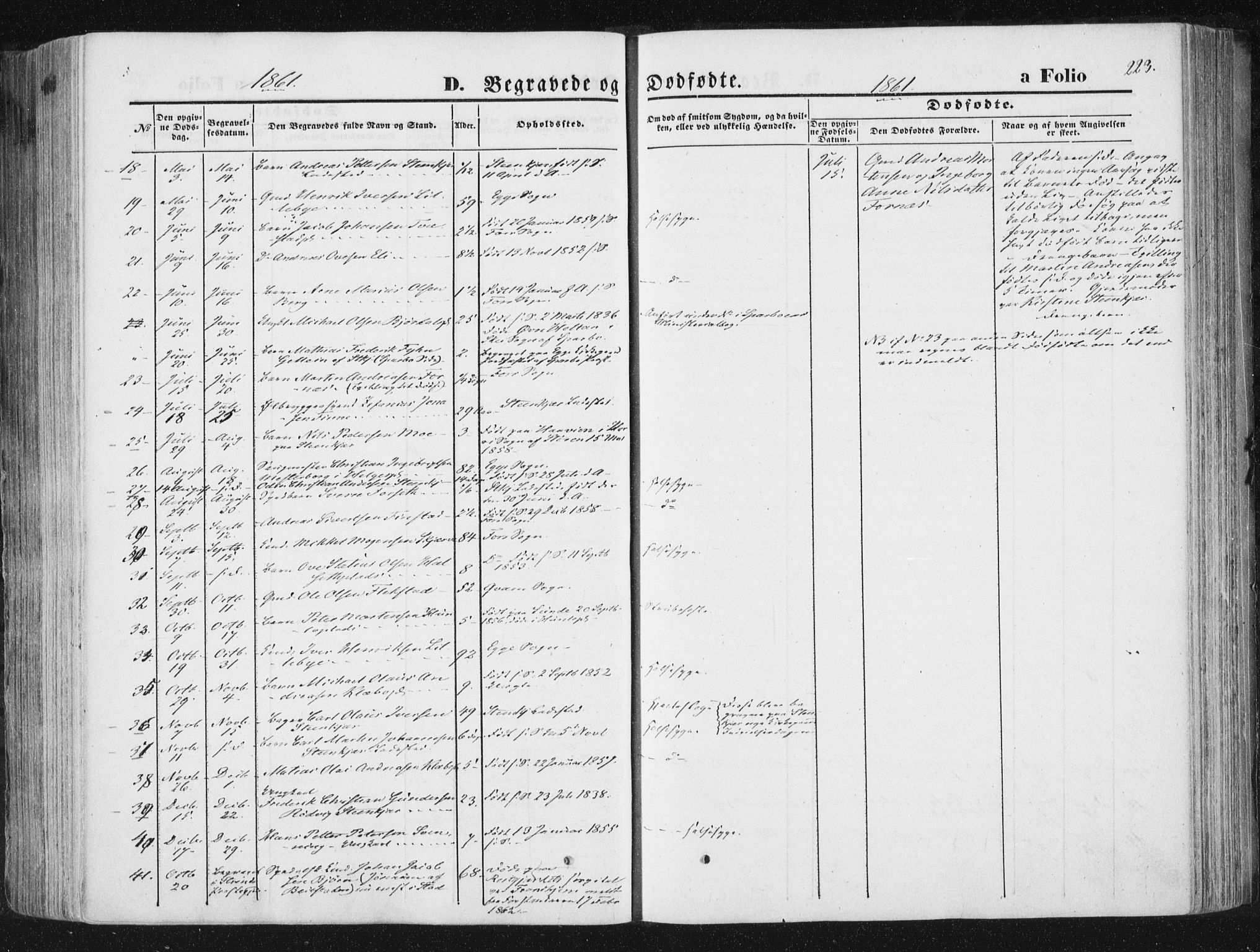 Ministerialprotokoller, klokkerbøker og fødselsregistre - Nord-Trøndelag, SAT/A-1458/746/L0447: Parish register (official) no. 746A06, 1860-1877, p. 223