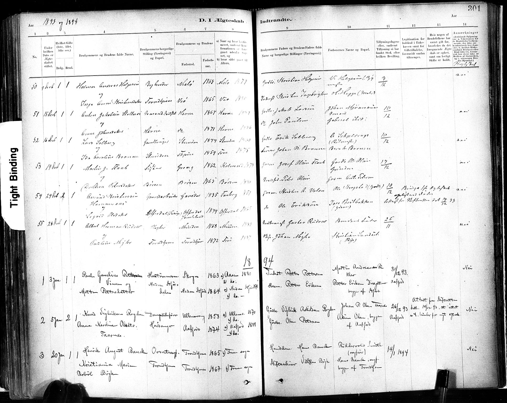 Ministerialprotokoller, klokkerbøker og fødselsregistre - Sør-Trøndelag, SAT/A-1456/602/L0119: Parish register (official) no. 602A17, 1880-1901, p. 301