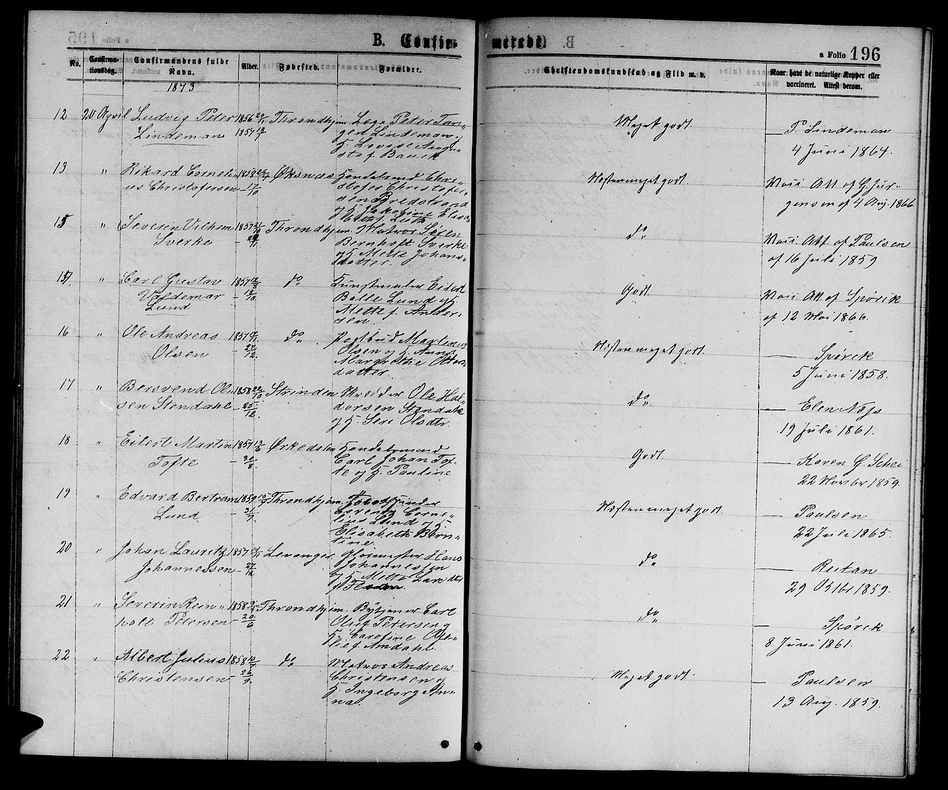 Ministerialprotokoller, klokkerbøker og fødselsregistre - Sør-Trøndelag, AV/SAT-A-1456/601/L0088: Parish register (copy) no. 601C06, 1870-1878, p. 196