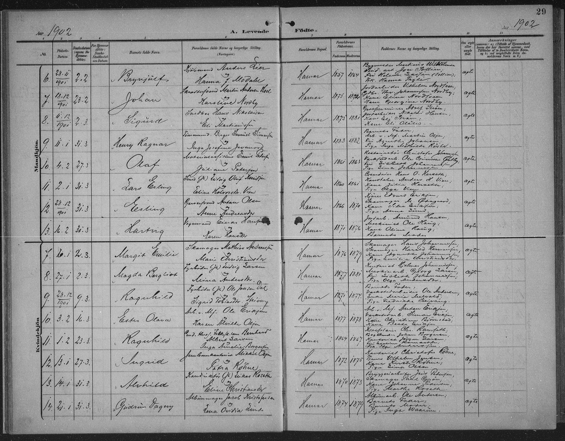 Hamar prestekontor, AV/SAH-DOMPH-002/H/Ha/Haa/L0001: Parish register (official) no. 1, 1900-1914, p. 29