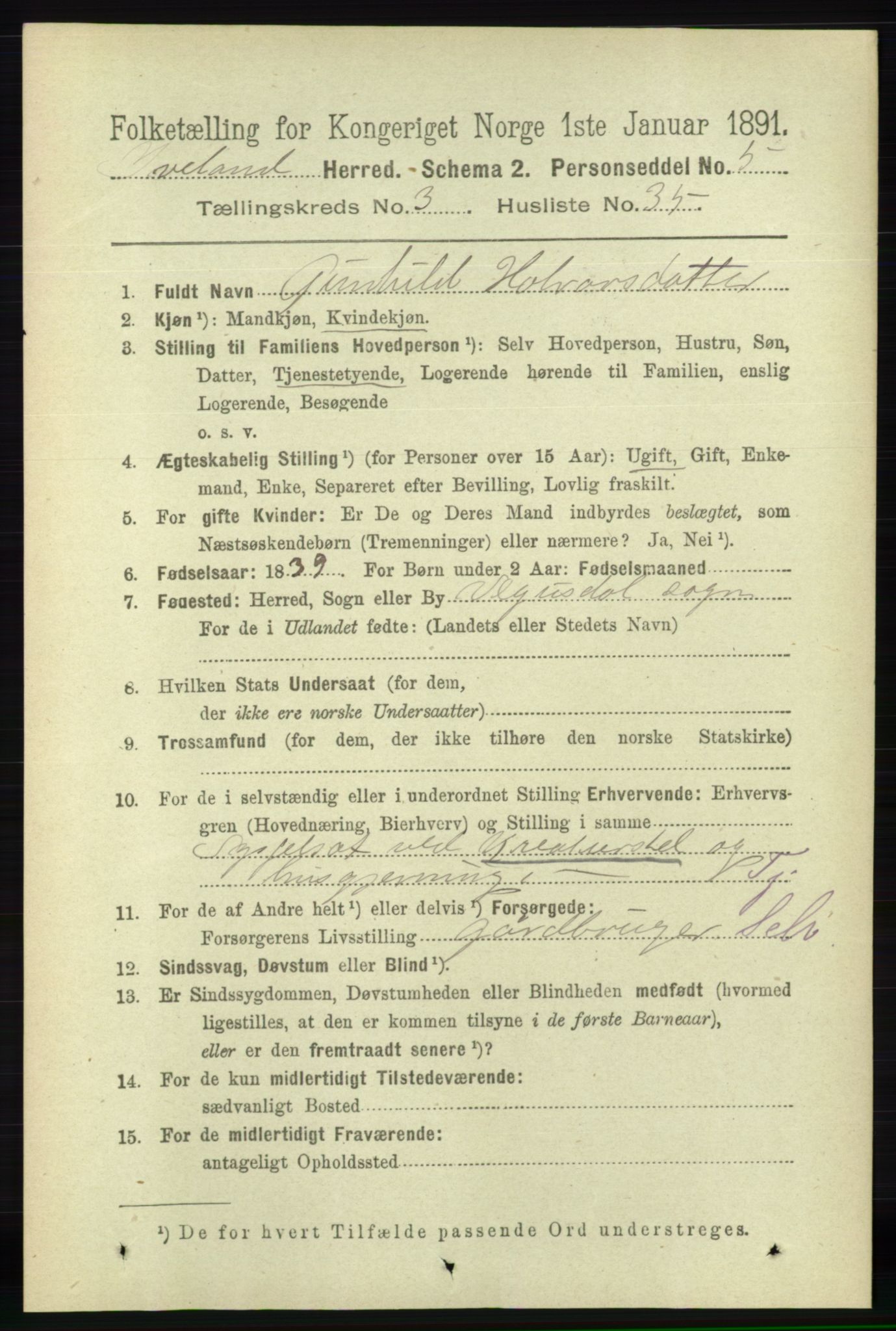 RA, 1891 census for 0935 Iveland, 1891, p. 971