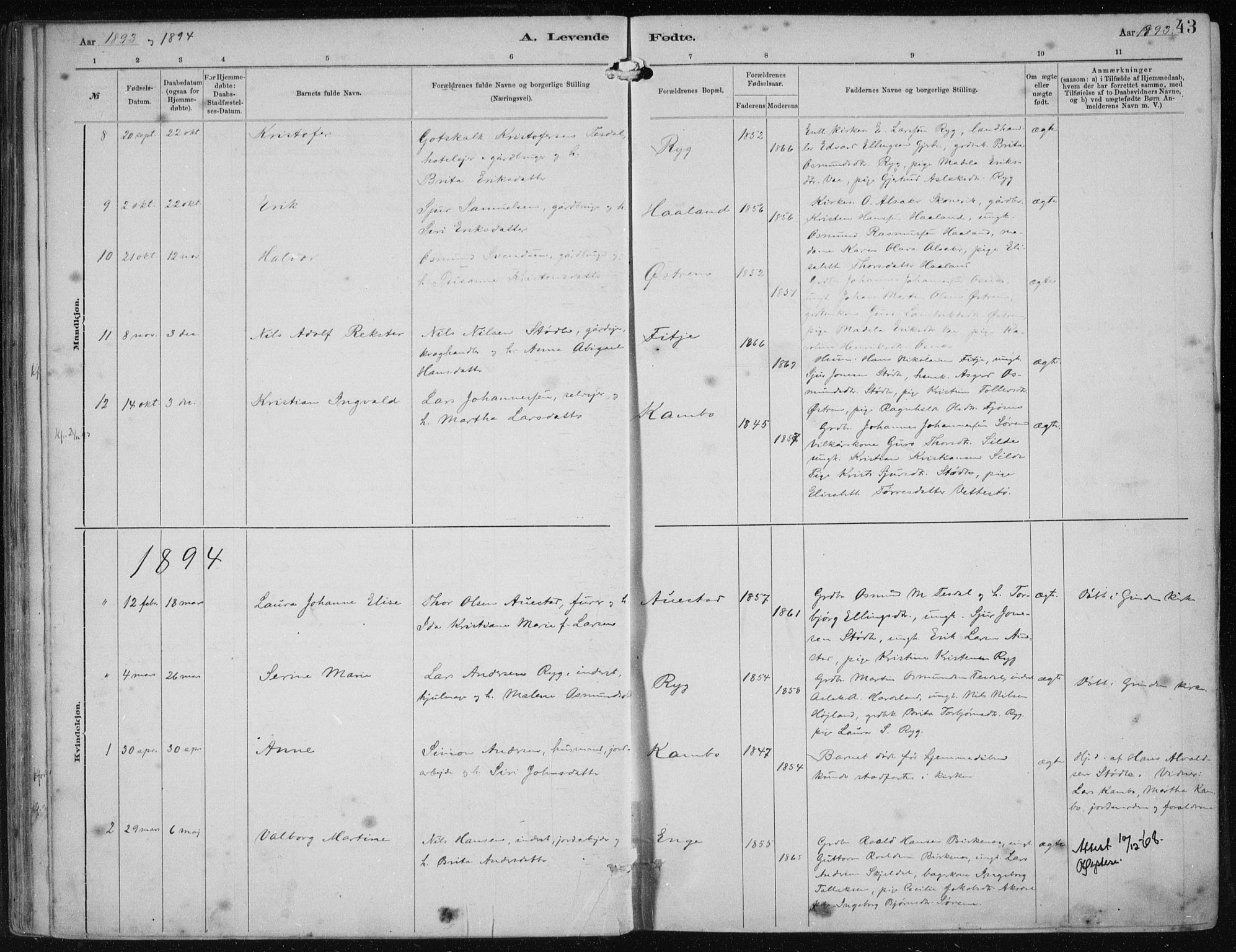 Etne sokneprestembete, AV/SAB-A-75001/H/Haa: Parish register (official) no. B  1, 1879-1919, p. 43