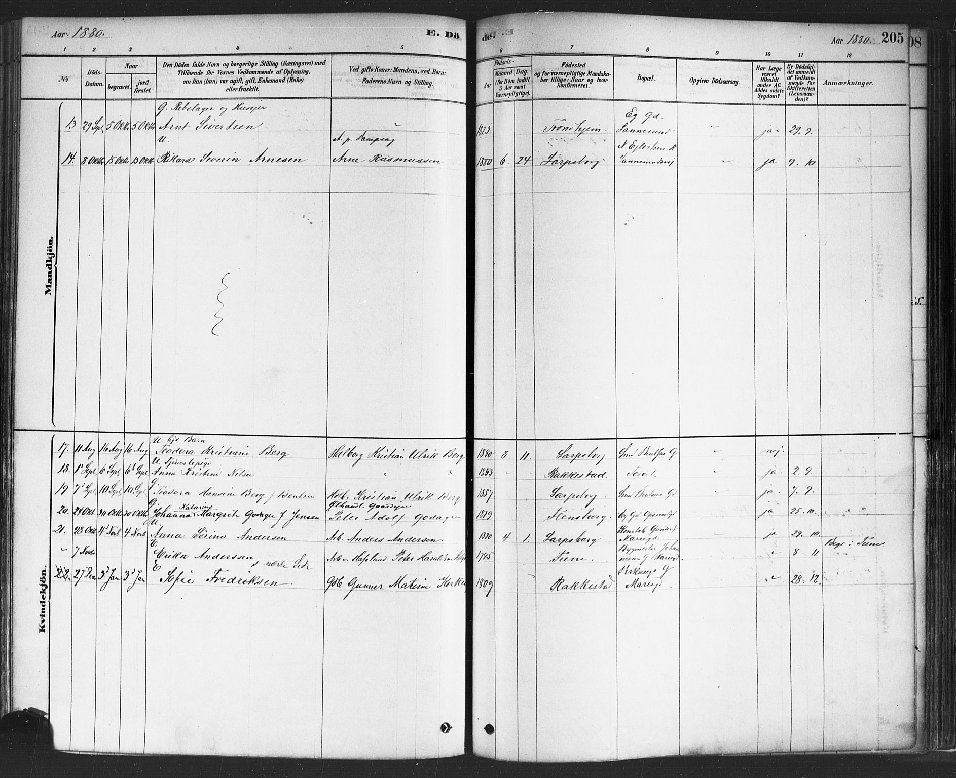 Sarpsborg prestekontor Kirkebøker, AV/SAO-A-2006/F/Fa/L0003: Parish register (official) no. 3, 1878-1891, p. 205