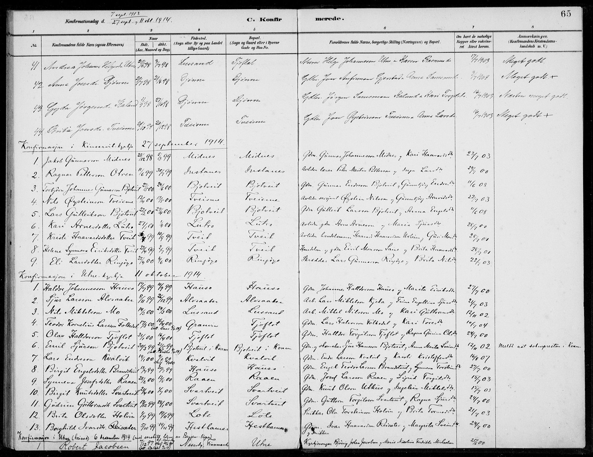 Ullensvang sokneprestembete, SAB/A-78701/H/Haa: Parish register (official) no. E  2, 1880-1914, p. 65