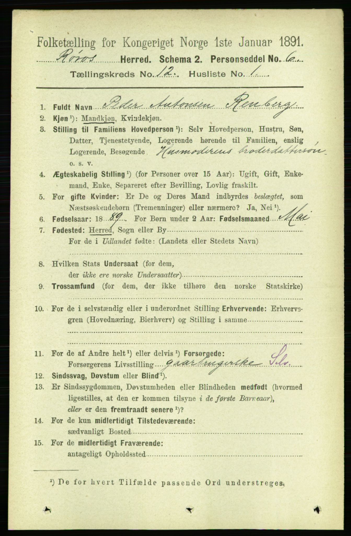 RA, 1891 census for 1640 Røros, 1891, p. 2374