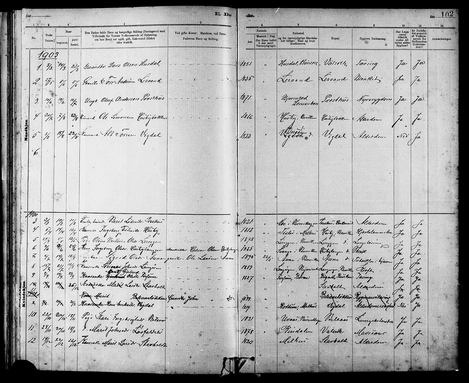 Ministerialprotokoller, klokkerbøker og fødselsregistre - Sør-Trøndelag, AV/SAT-A-1456/666/L0790: Parish register (copy) no. 666C03, 1885-1908, p. 102