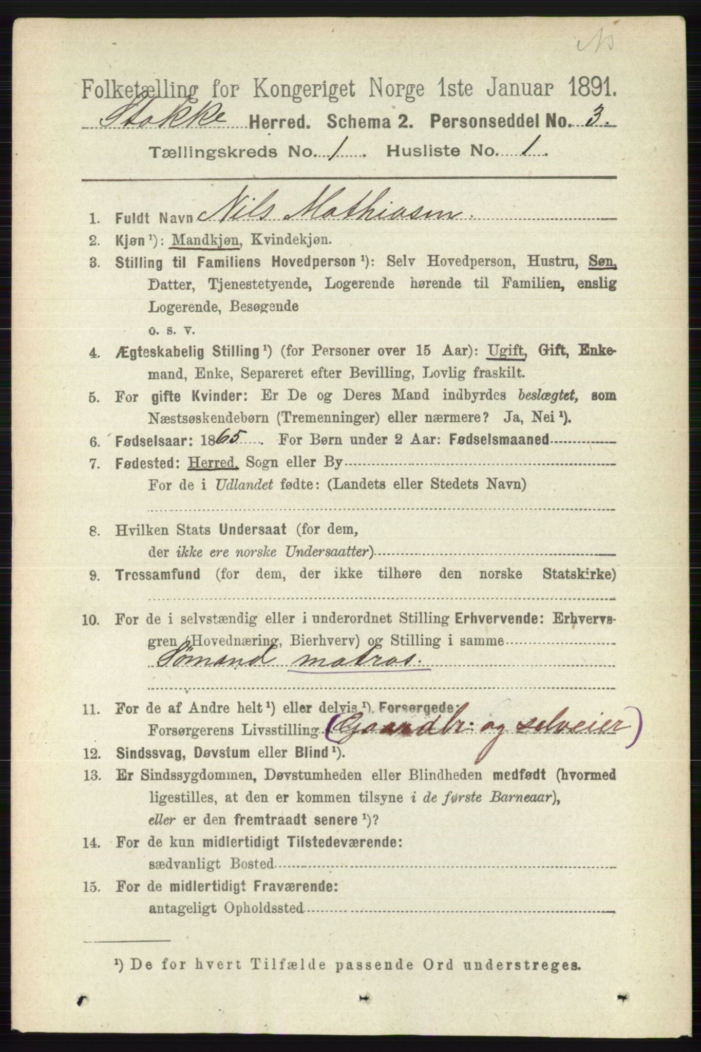 RA, 1891 census for 0720 Stokke, 1891, p. 163