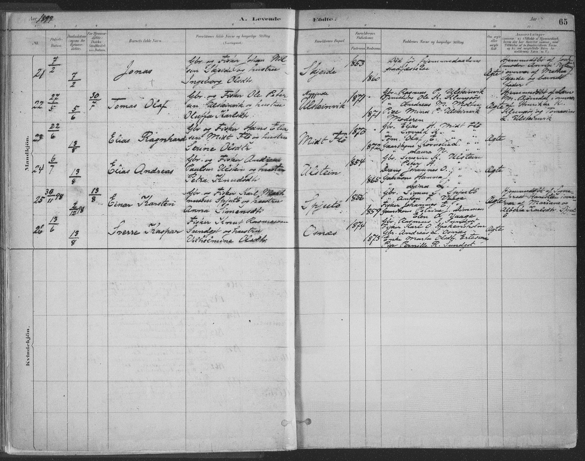 Ministerialprotokoller, klokkerbøker og fødselsregistre - Møre og Romsdal, SAT/A-1454/509/L0106: Parish register (official) no. 509A04, 1883-1922, p. 65