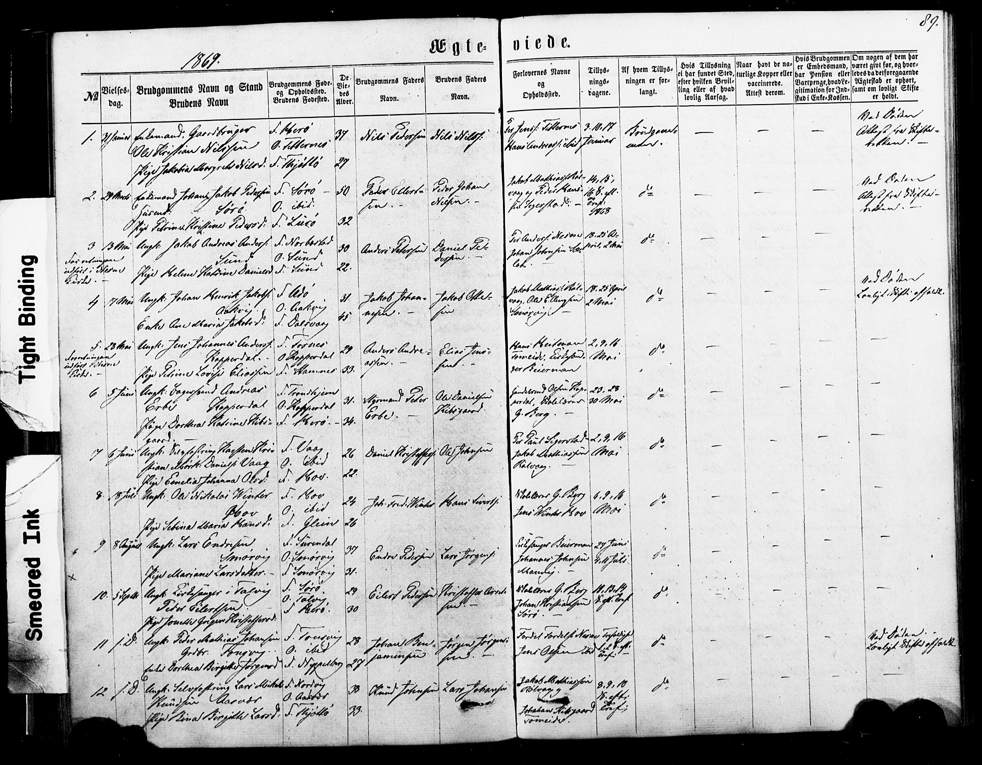 Ministerialprotokoller, klokkerbøker og fødselsregistre - Nordland, AV/SAT-A-1459/835/L0524: Parish register (official) no. 835A02, 1865-1880, p. 89