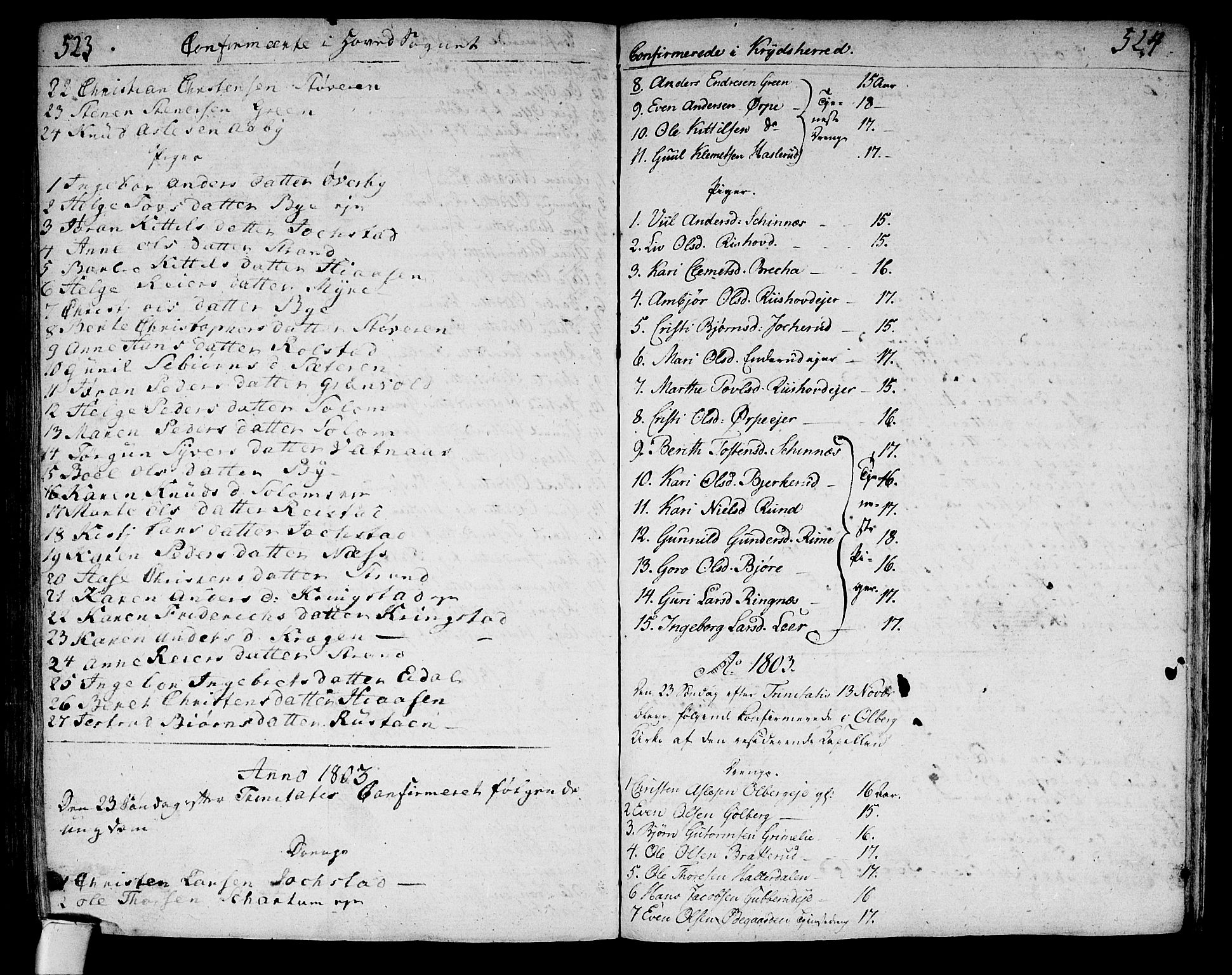 Sigdal kirkebøker, SAKO/A-245/F/Fa/L0003: Parish register (official) no. I 3, 1793-1811, p. 523-524