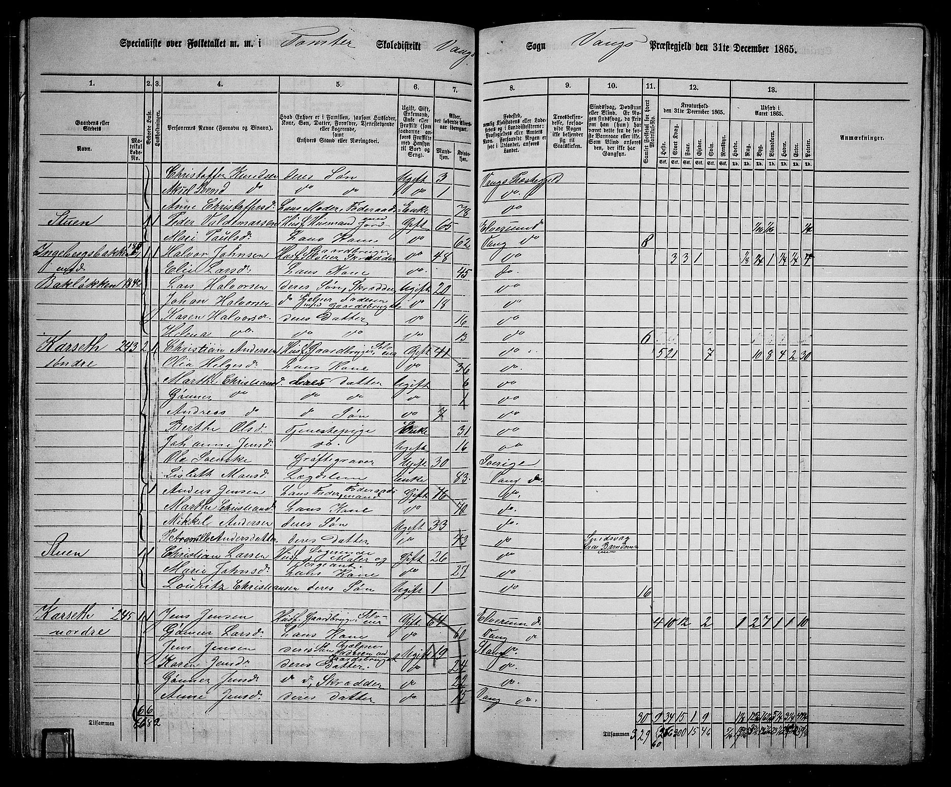 RA, 1865 census for Vang/Vang og Furnes, 1865, p. 224