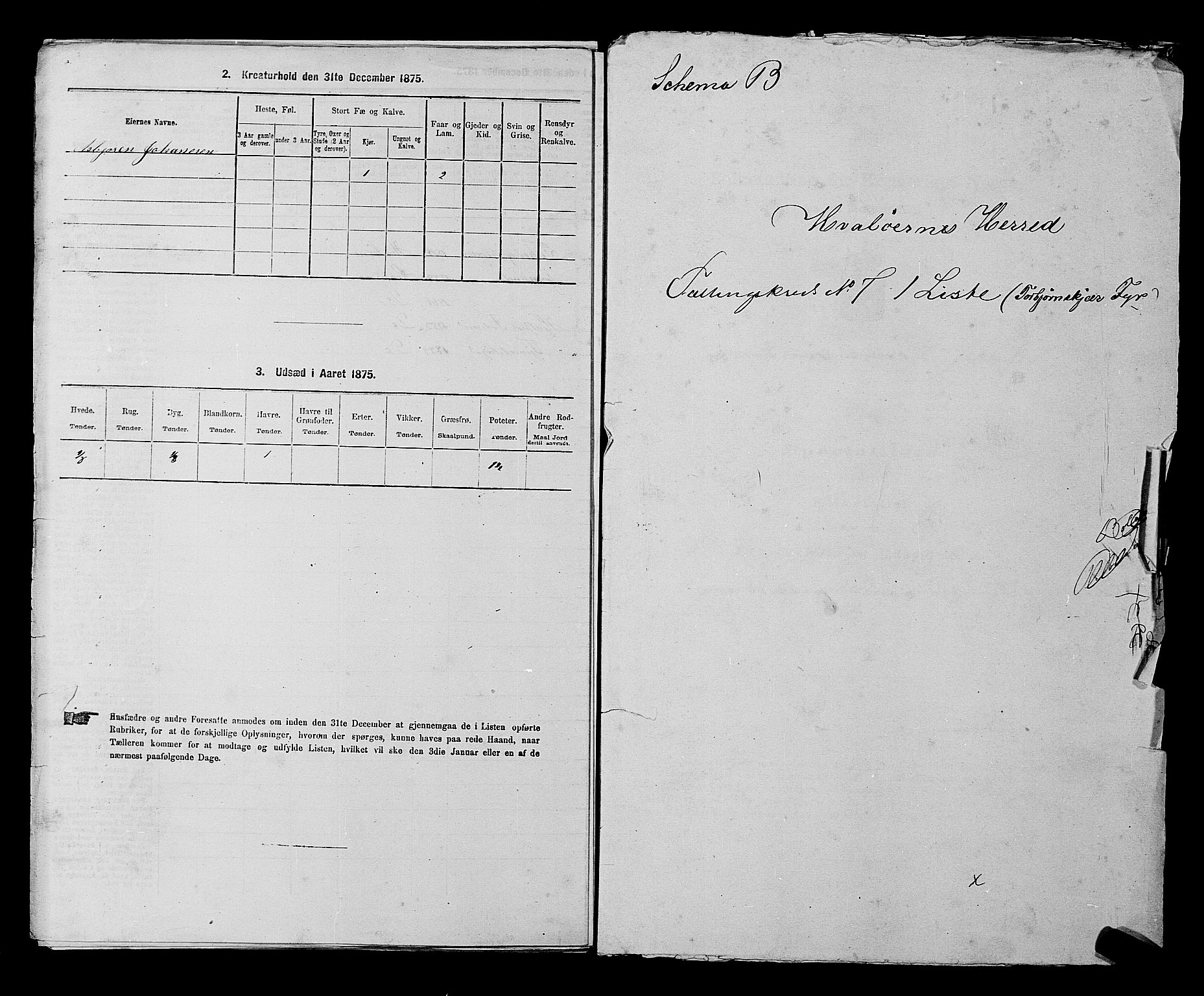RA, 1875 census for 0111P Hvaler, 1875, p. 975