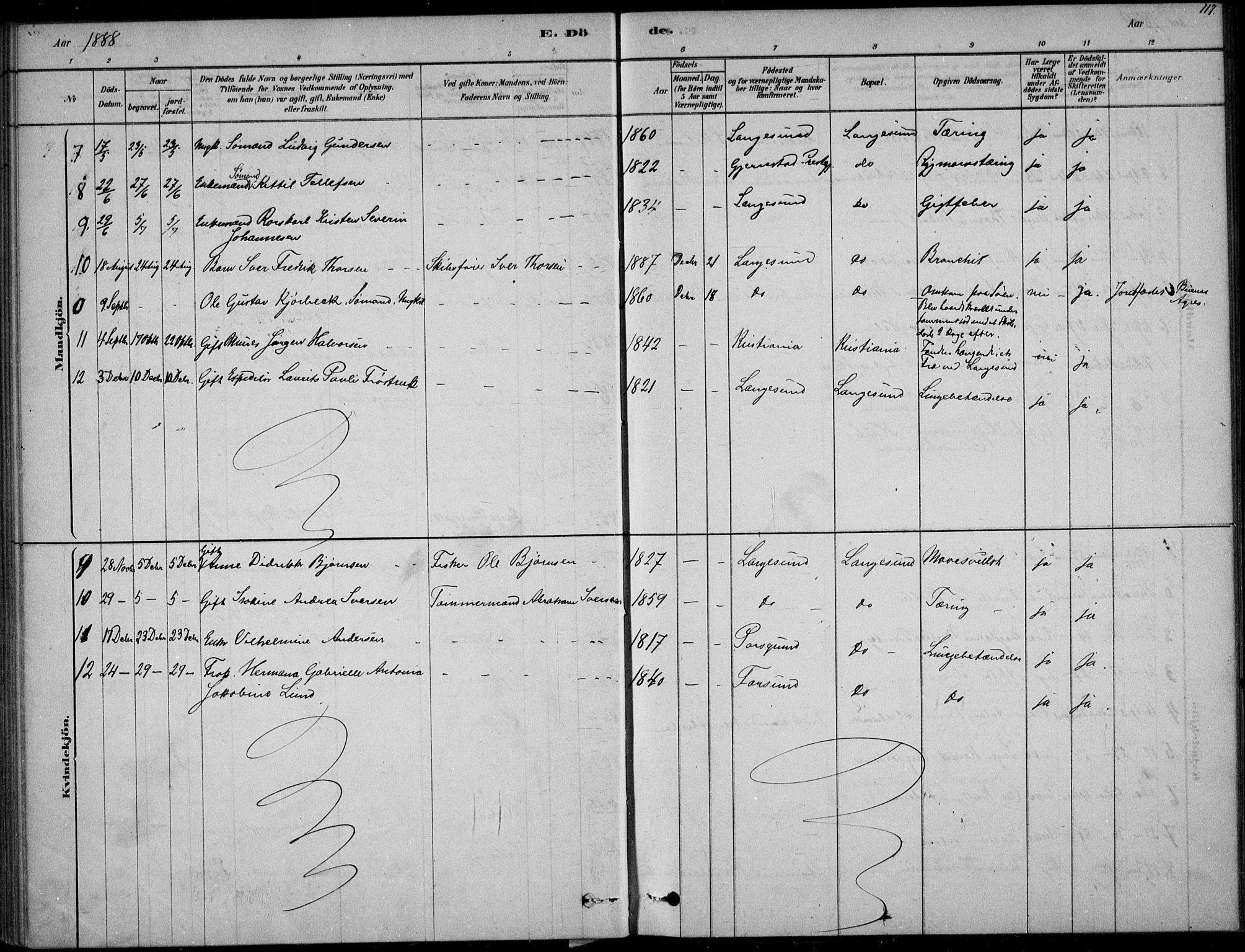 Langesund kirkebøker, SAKO/A-280/F/Fa/L0002: Parish register (official) no. 2, 1878-1892, p. 117
