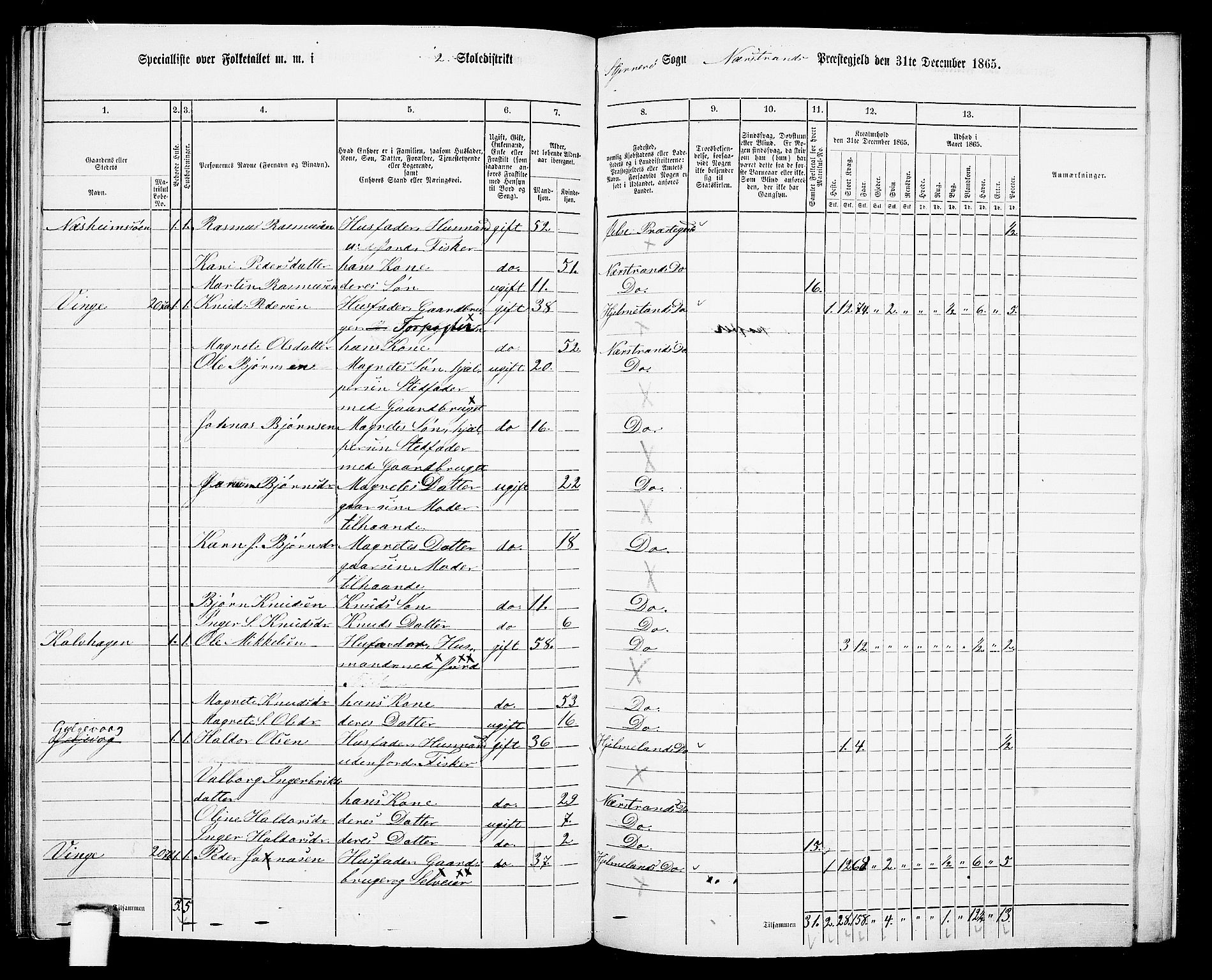 RA, 1865 census for Nedstrand, 1865, p. 100