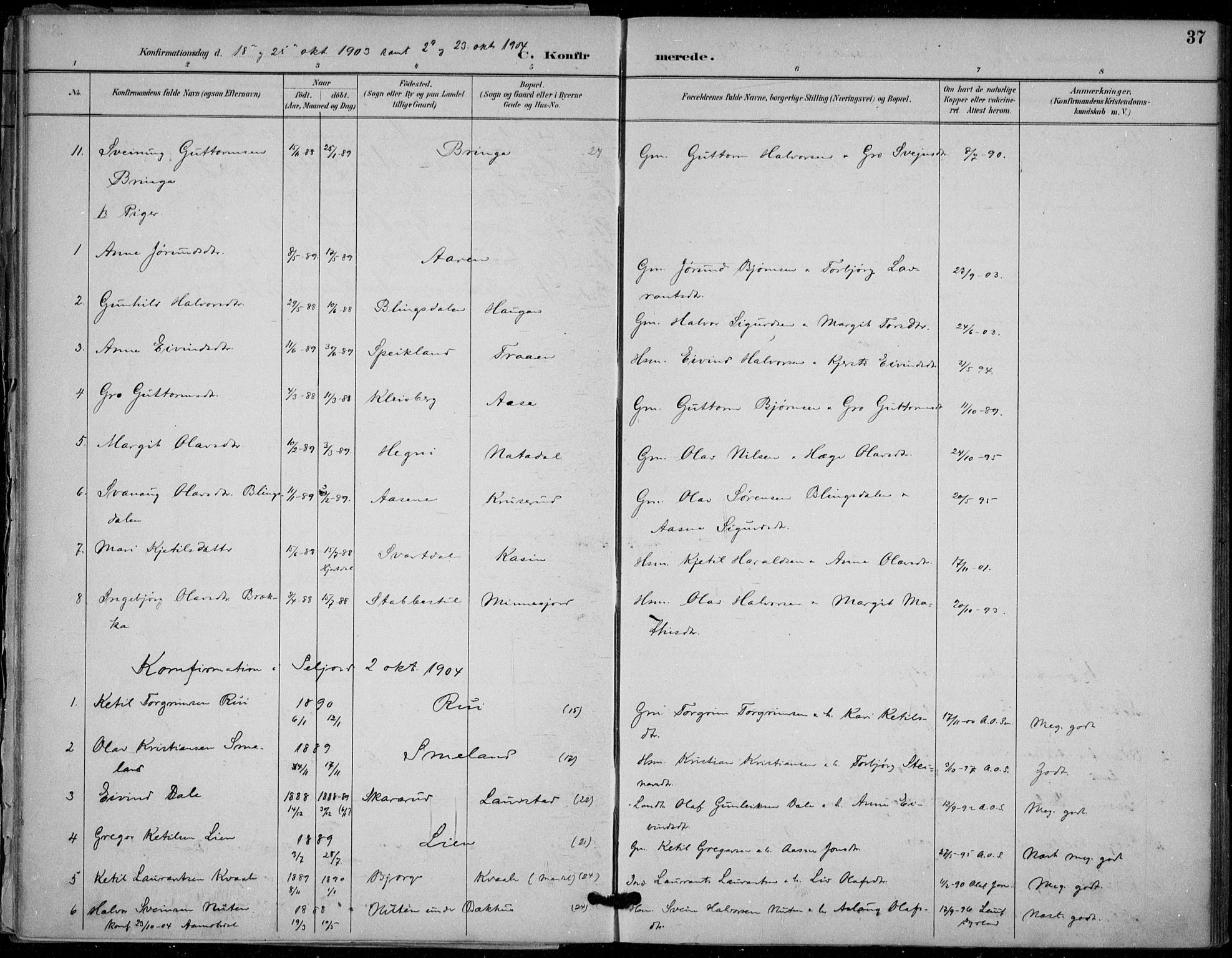 Seljord kirkebøker, SAKO/A-20/F/Fb/L0002: Parish register (official) no. II 2, 1887-1917, p. 37