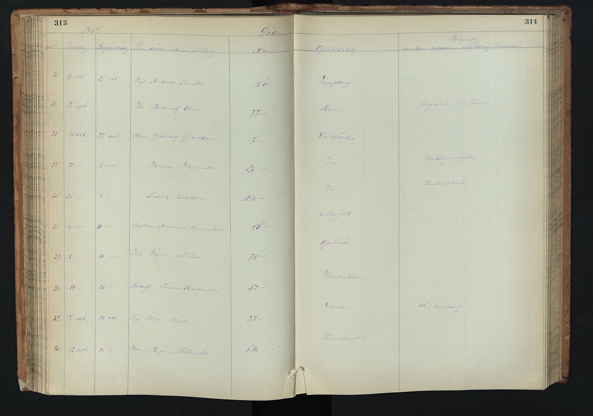 Stor-Elvdal prestekontor, AV/SAH-PREST-052/H/Ha/Hab/L0002: Parish register (copy) no. 2, 1860-1894, p. 313-314