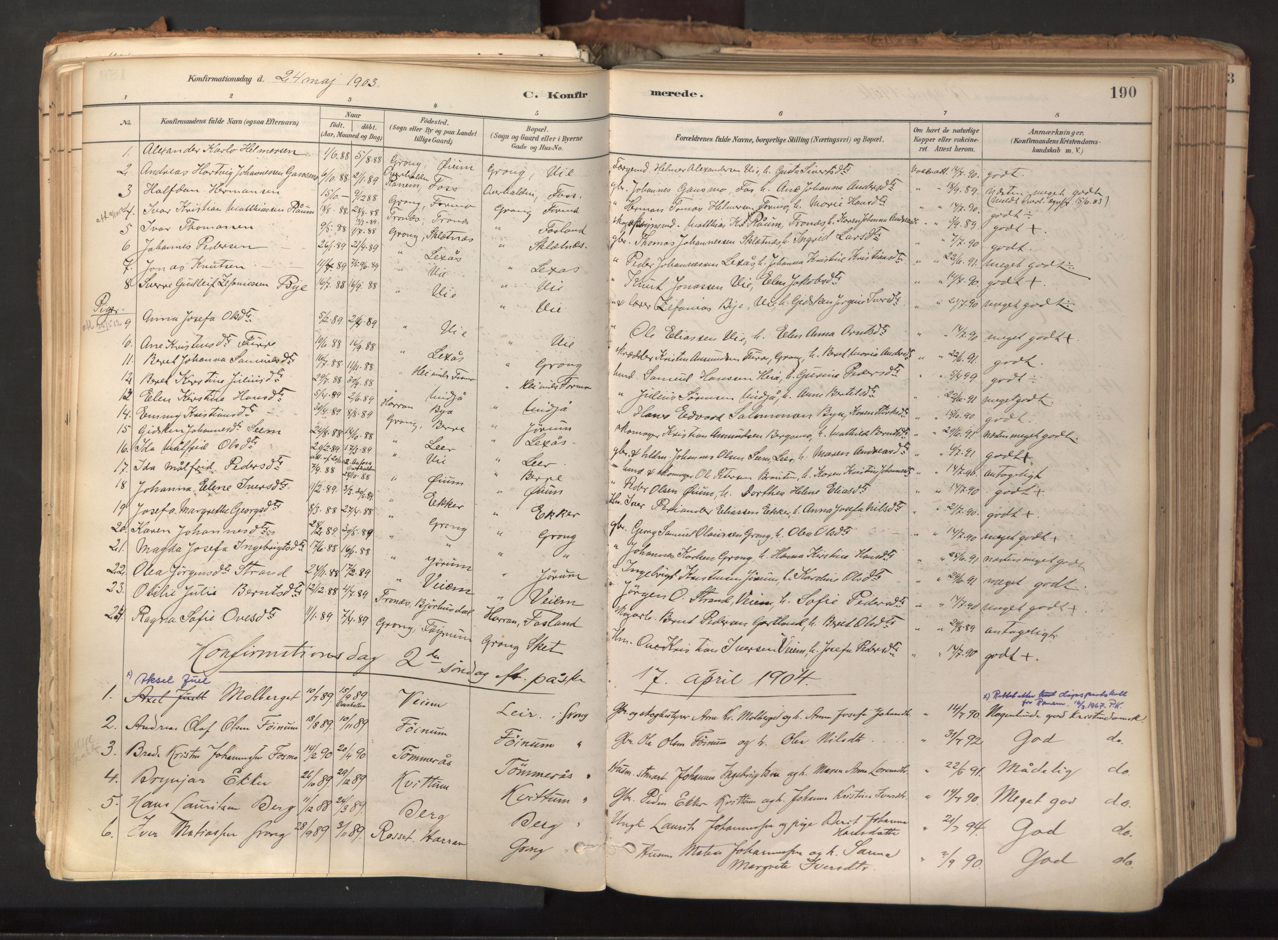 Ministerialprotokoller, klokkerbøker og fødselsregistre - Nord-Trøndelag, SAT/A-1458/758/L0519: Parish register (official) no. 758A04, 1880-1926, p. 190