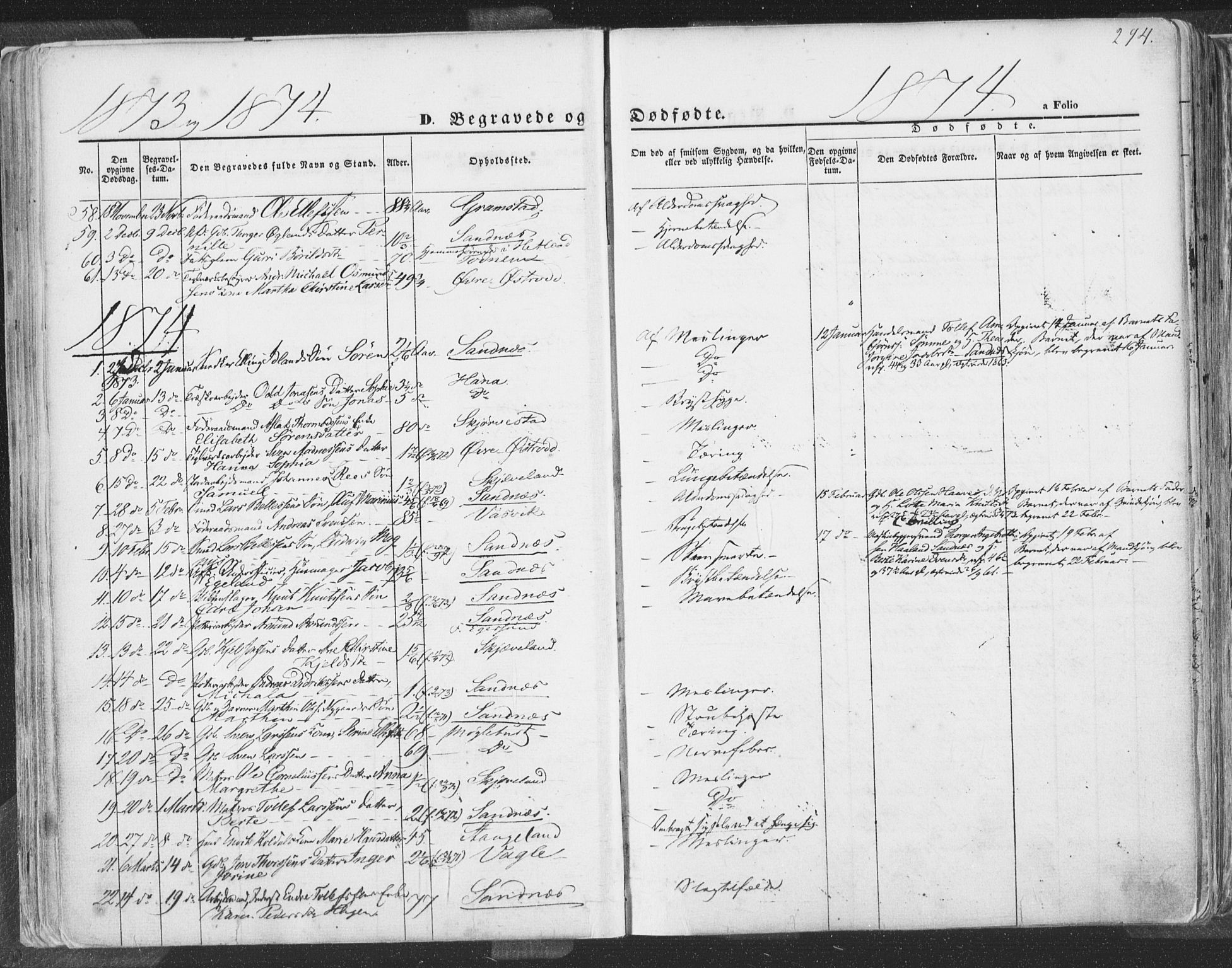 Høyland sokneprestkontor, SAST/A-101799/001/30BA/L0009: Parish register (official) no. A 9.2, 1857-1877, p. 294