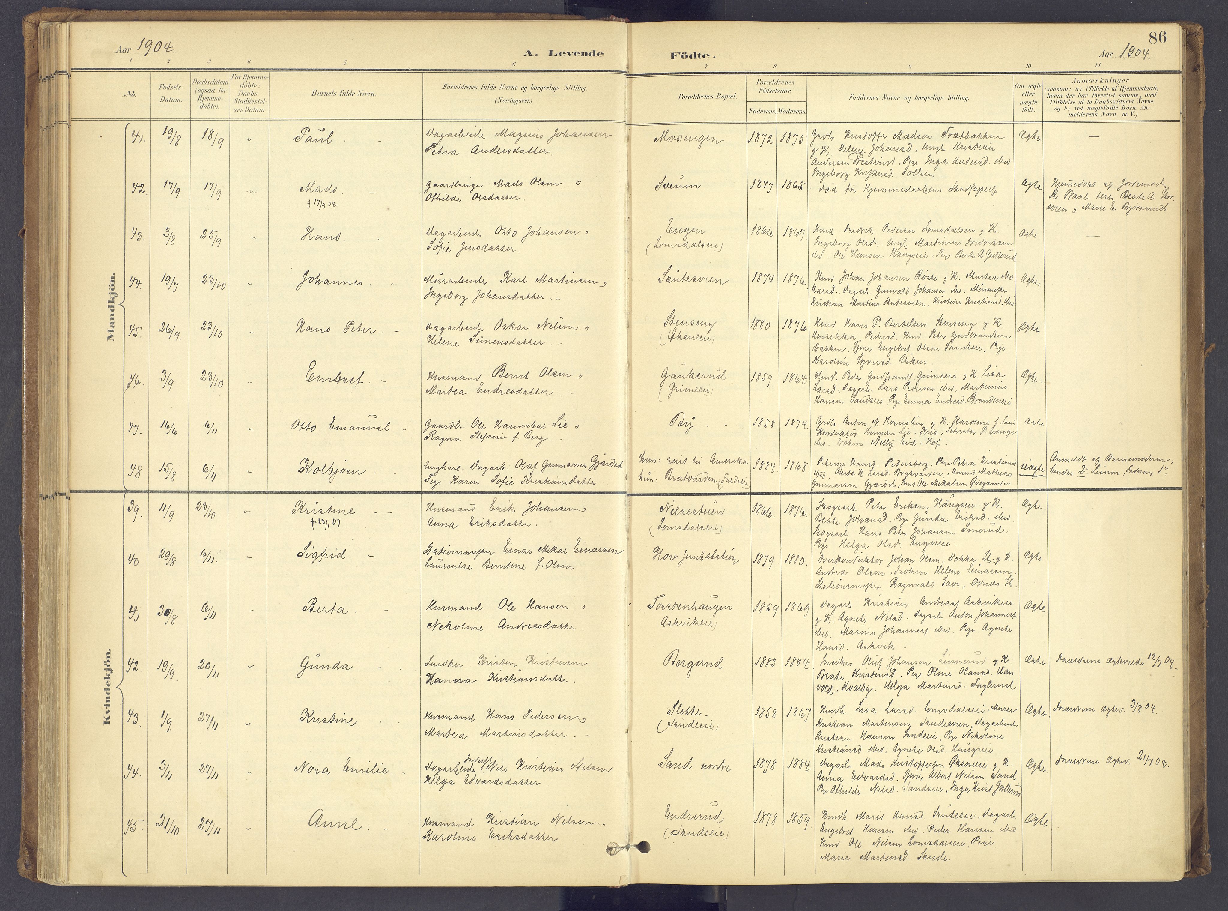 Søndre Land prestekontor, AV/SAH-PREST-122/K/L0006: Parish register (official) no. 6, 1895-1904, p. 86