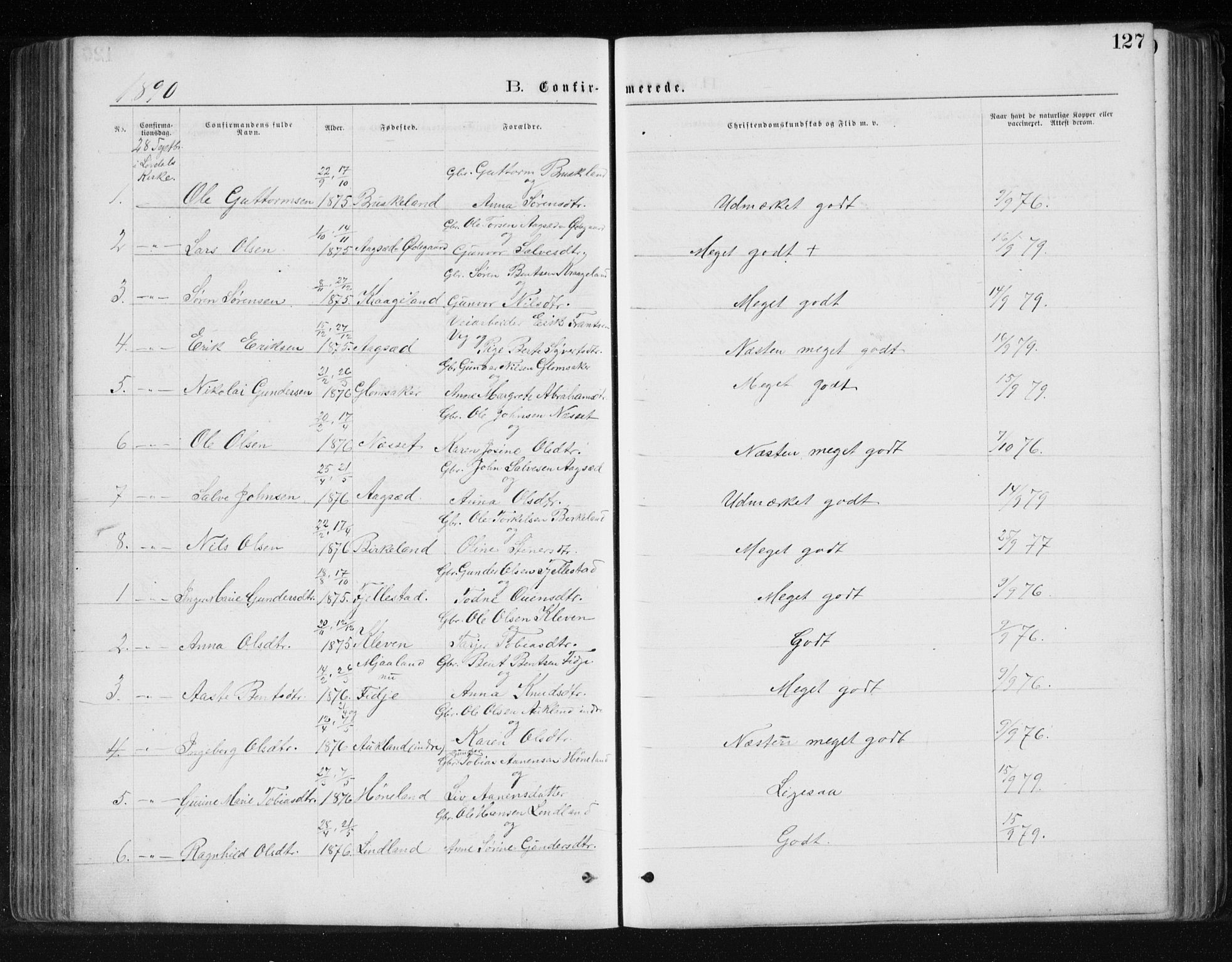 Holum sokneprestkontor, SAK/1111-0022/F/Fb/Fbb/L0003: Parish register (copy) no. B 3, 1875-1898, p. 127