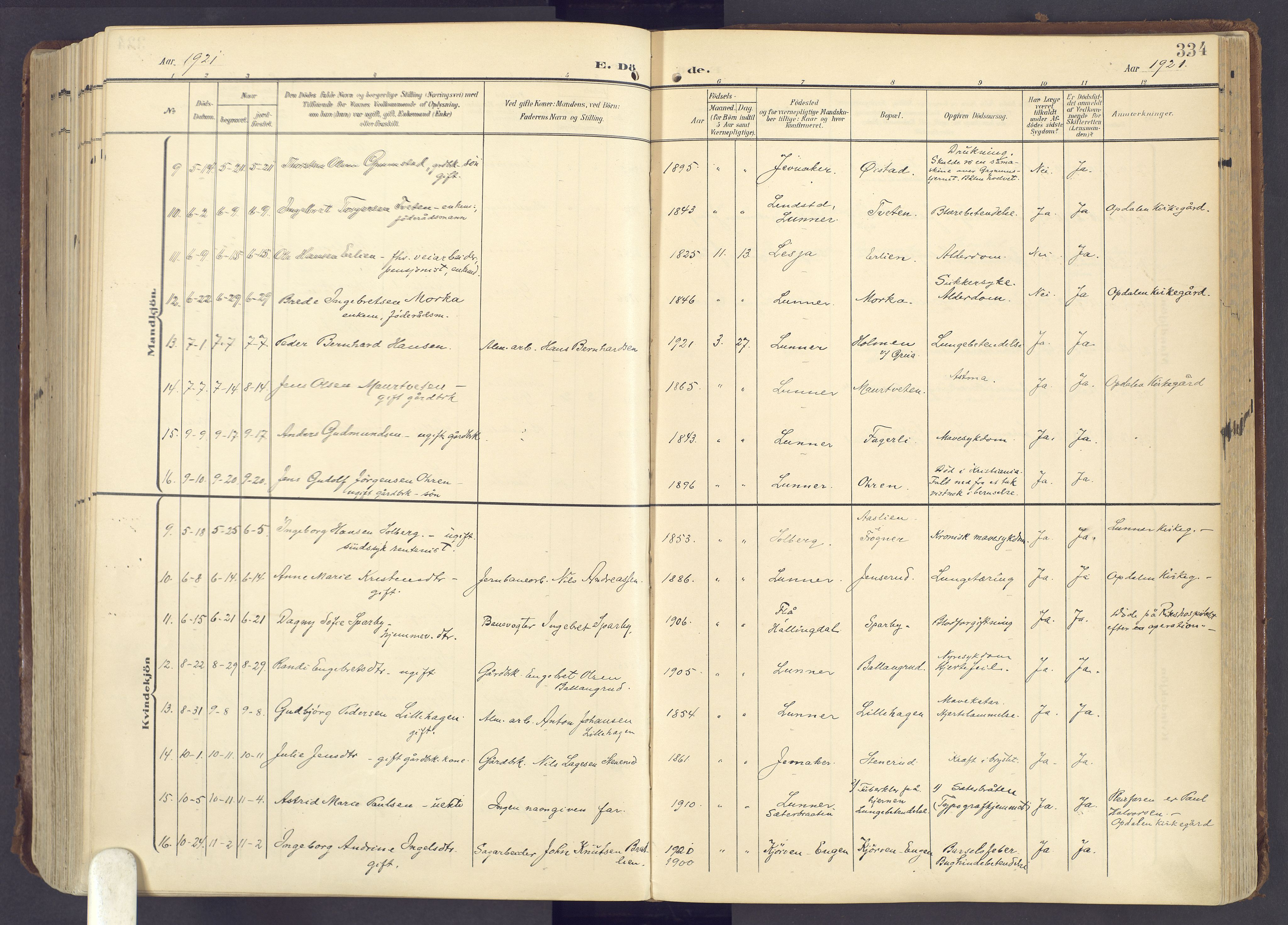 Lunner prestekontor, AV/SAH-PREST-118/H/Ha/Haa/L0001: Parish register (official) no. 1, 1907-1922, p. 334