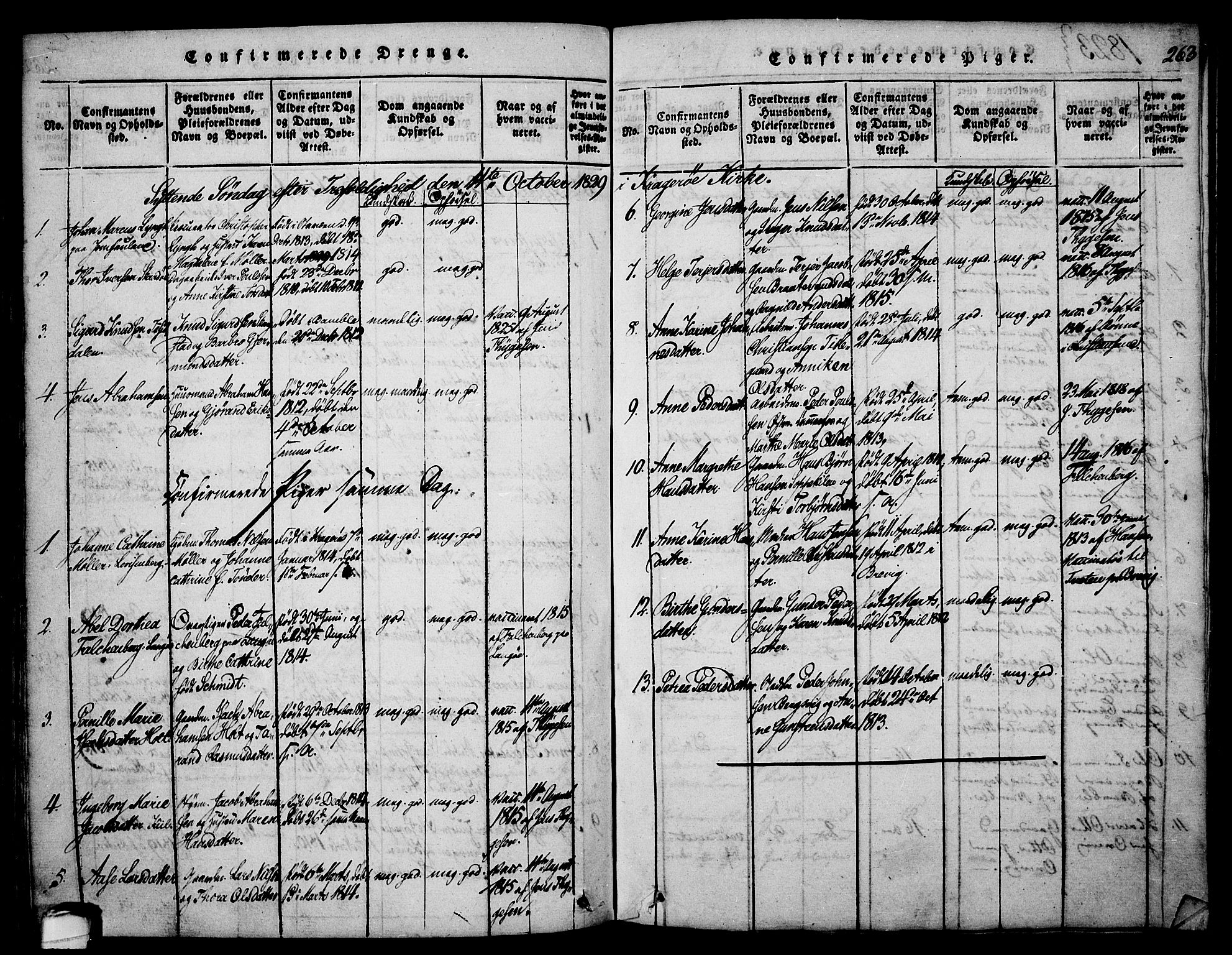 Sannidal kirkebøker, AV/SAKO-A-296/F/Fa/L0004: Parish register (official) no. 4, 1814-1829, p. 263