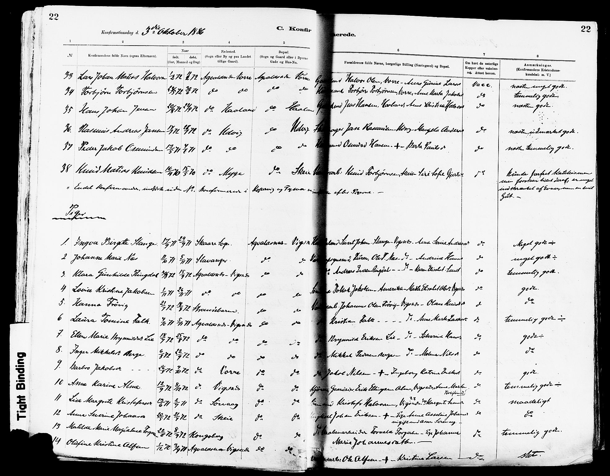 Avaldsnes sokneprestkontor, AV/SAST-A -101851/H/Ha/Haa/L0015: Parish register (official) no. A 15, 1880-1906, p. 22