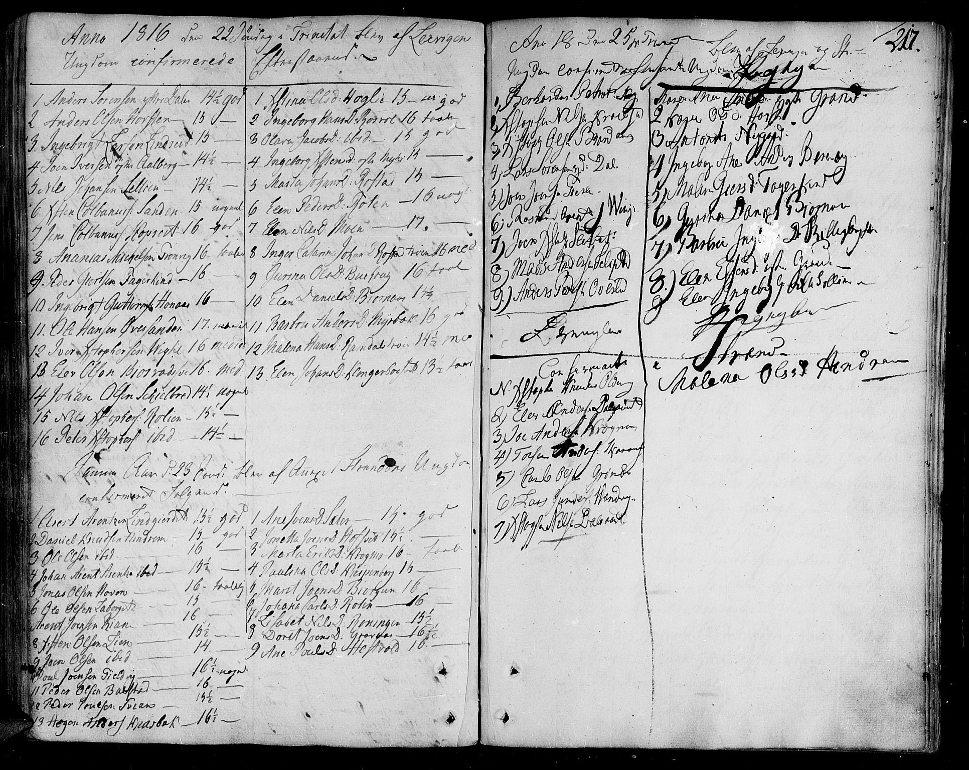 Ministerialprotokoller, klokkerbøker og fødselsregistre - Nord-Trøndelag, AV/SAT-A-1458/701/L0004: Parish register (official) no. 701A04, 1783-1816, p. 217