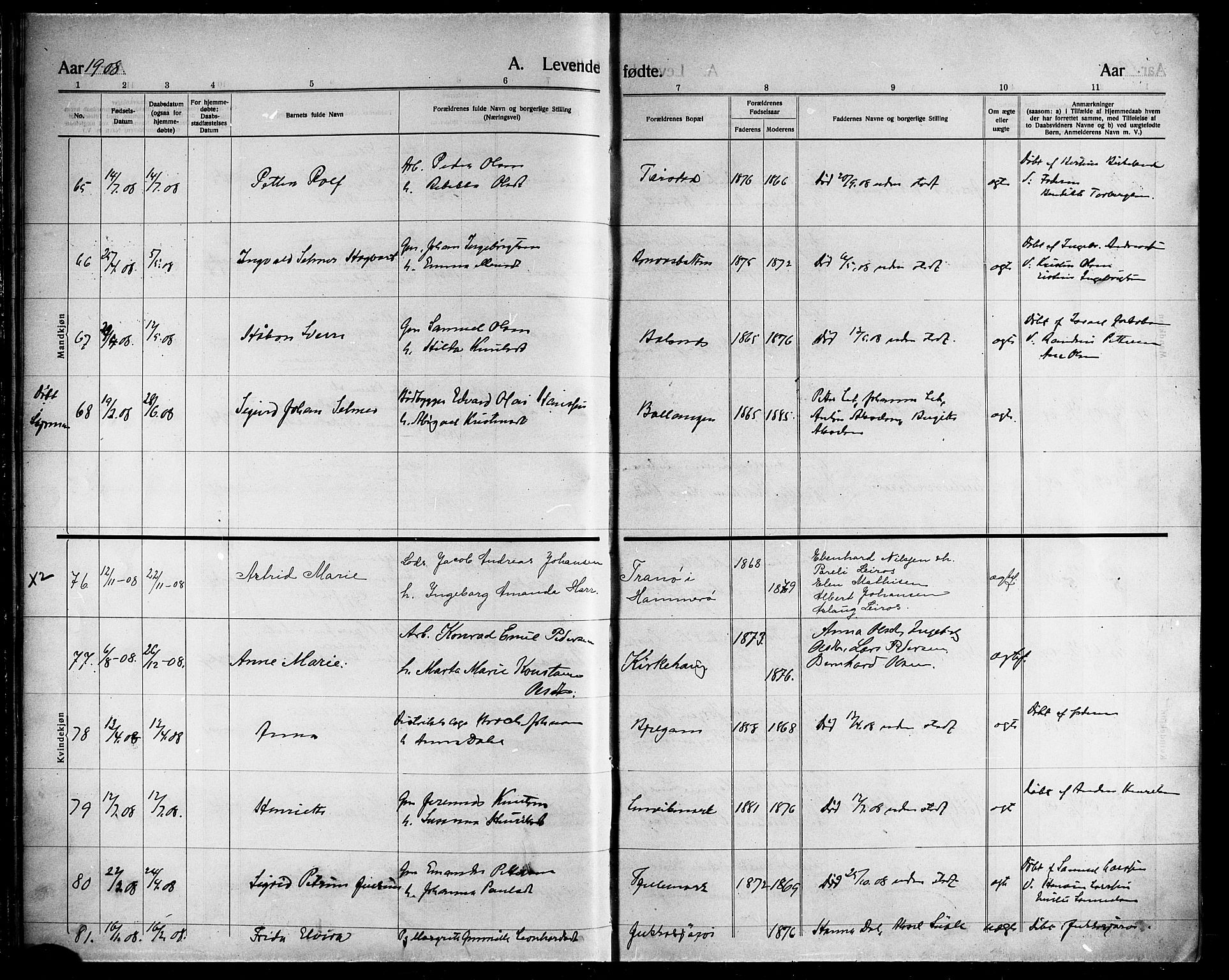 Ministerialprotokoller, klokkerbøker og fødselsregistre - Nordland, AV/SAT-A-1459/863/L0916: Parish register (copy) no. 863C06, 1907-1921