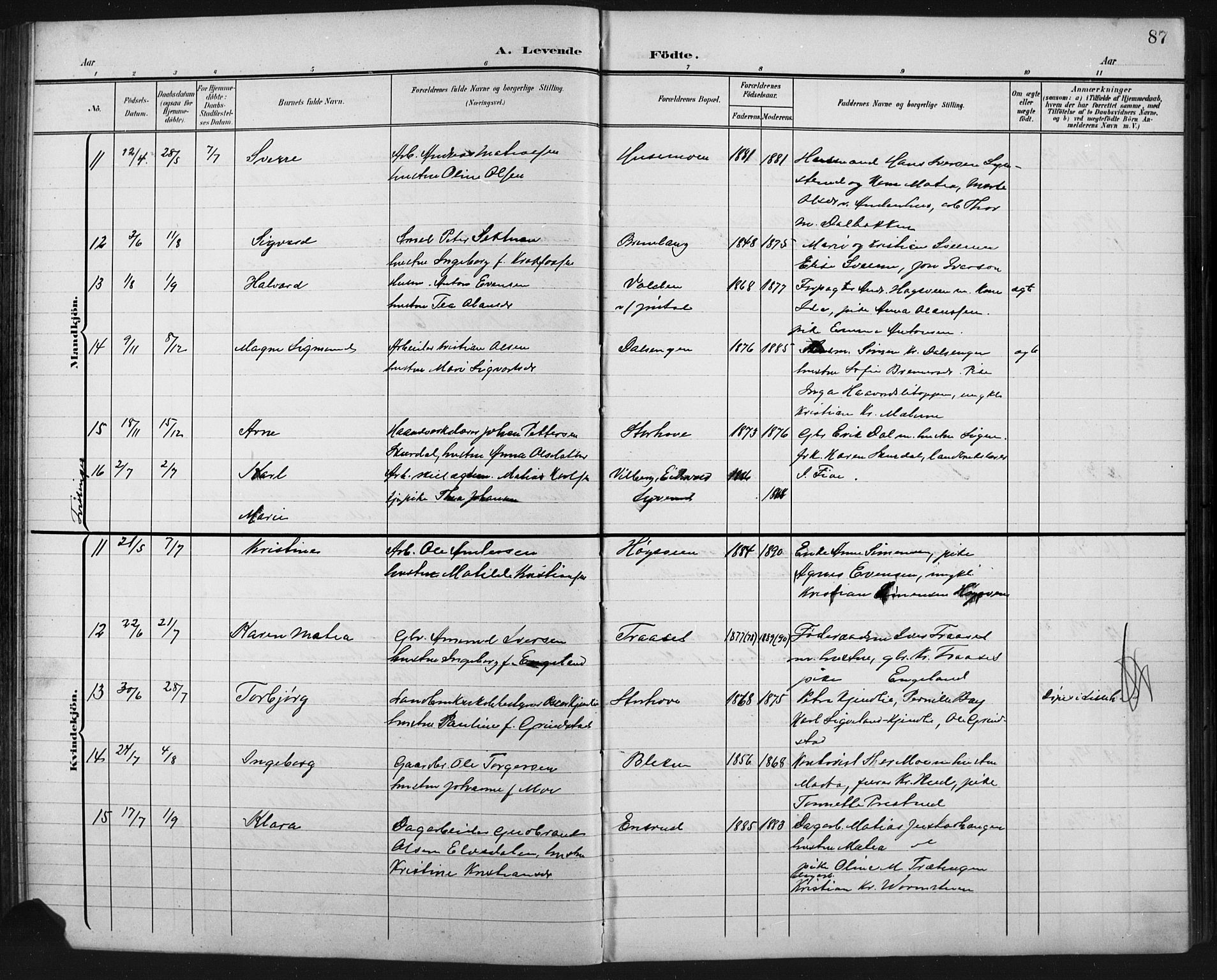 Fåberg prestekontor, AV/SAH-PREST-086/H/Ha/Hab/L0011: Parish register (copy) no. 11, 1901-1921, p. 87