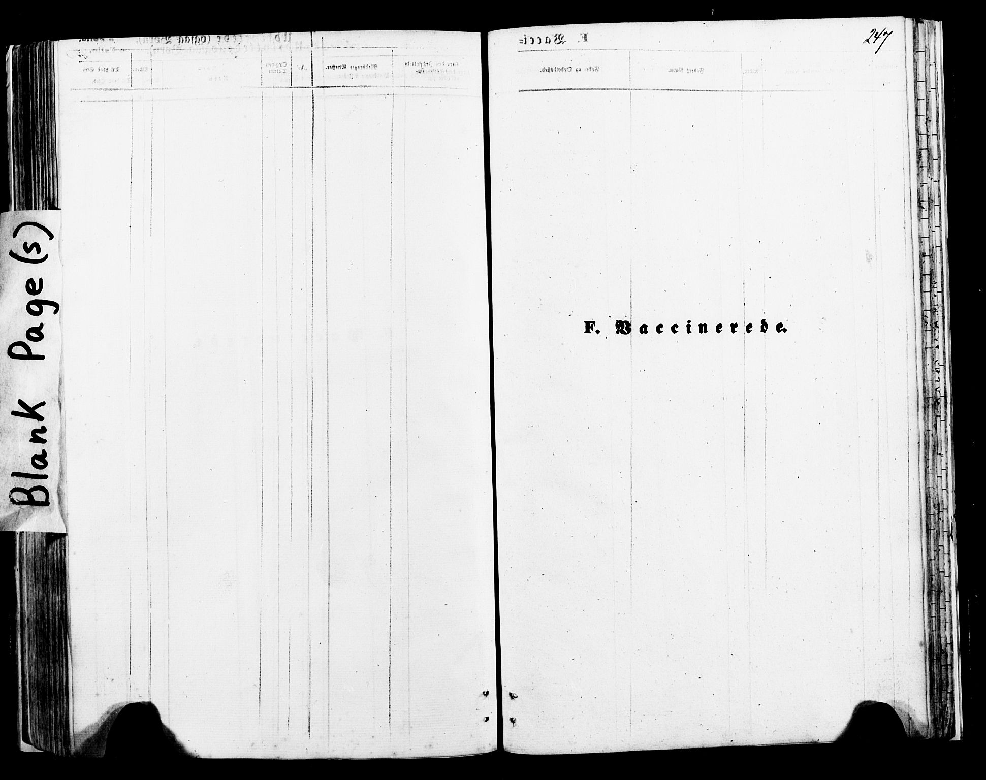 Ministerialprotokoller, klokkerbøker og fødselsregistre - Nordland, SAT/A-1459/897/L1397: Parish register (official) no. 897A05 /1, 1867-1880, p. 247