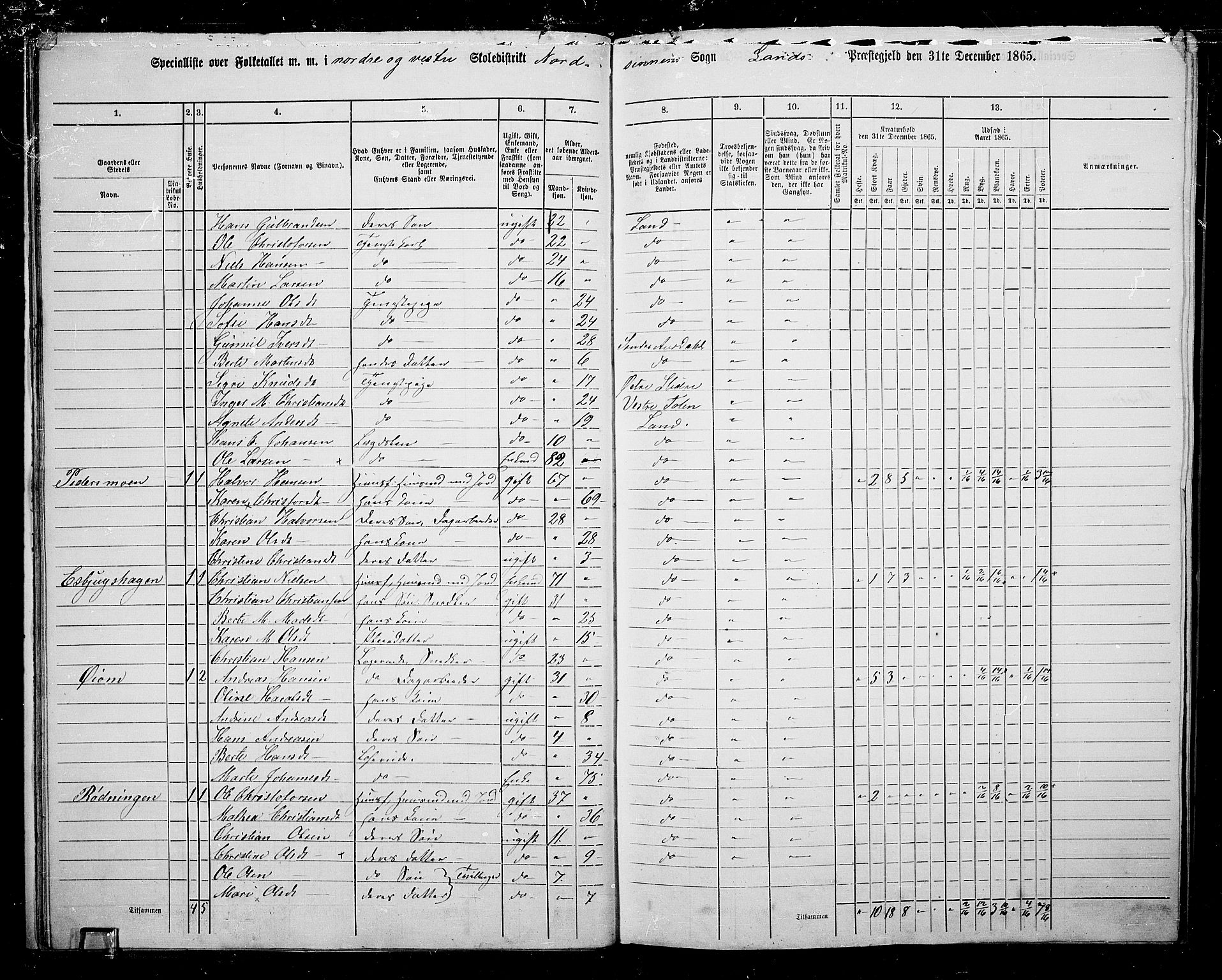 RA, 1865 census for Land, 1865, p. 25