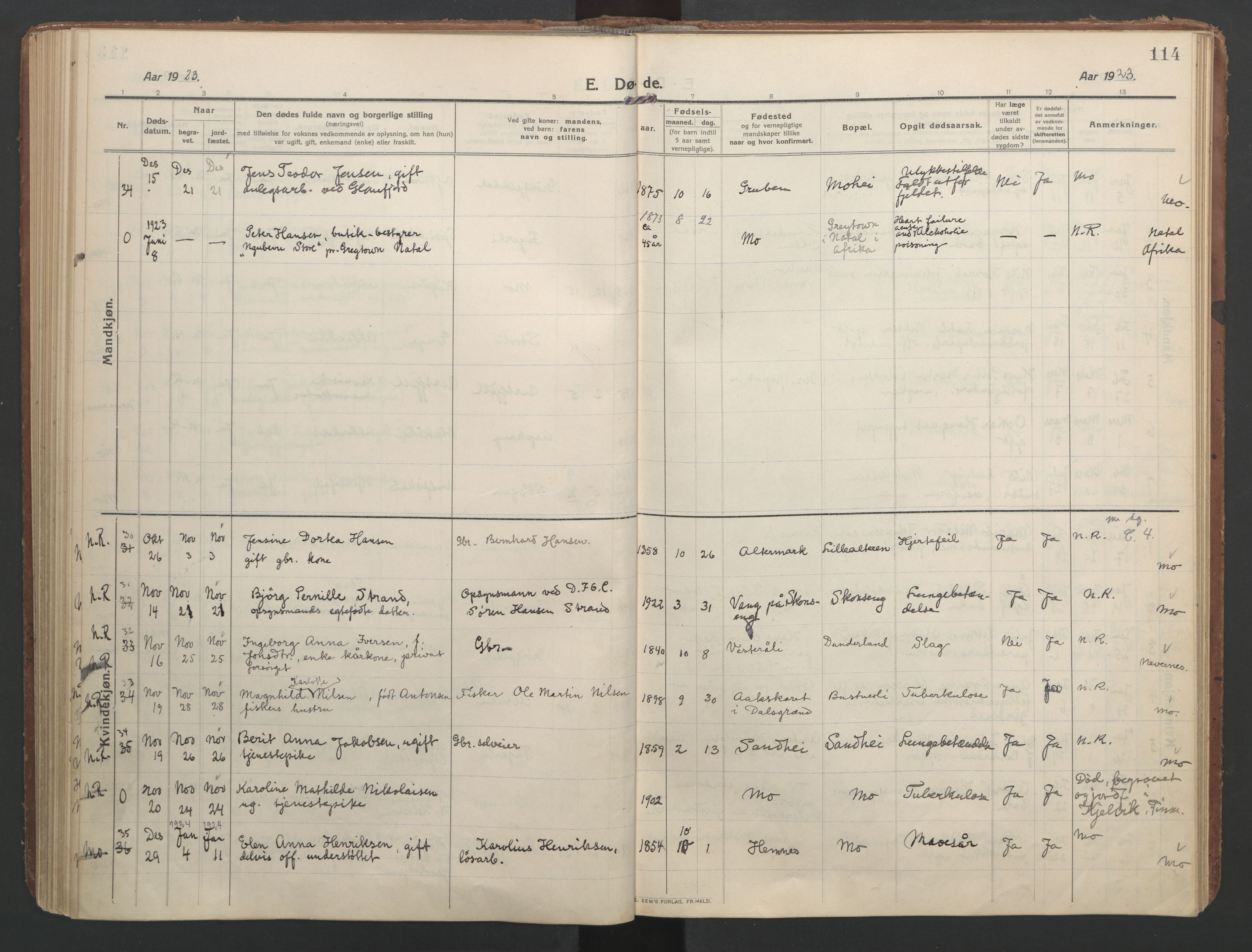 Ministerialprotokoller, klokkerbøker og fødselsregistre - Nordland, AV/SAT-A-1459/827/L0405: Parish register (official) no. 827A17, 1912-1925, p. 114