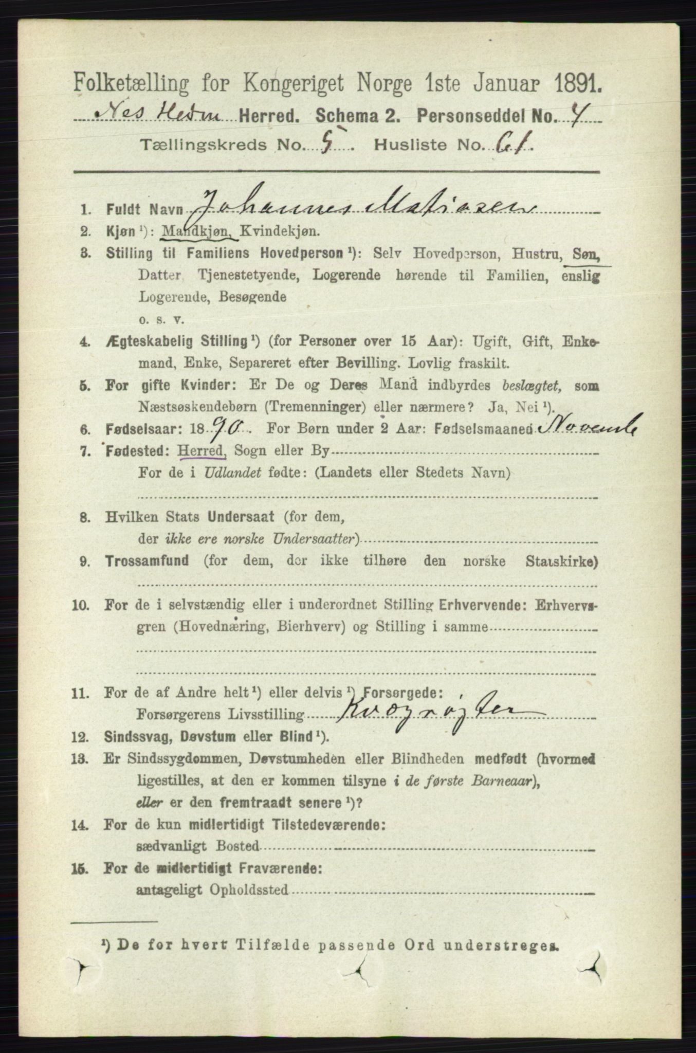 RA, 1891 census for 0411 Nes, 1891, p. 3001