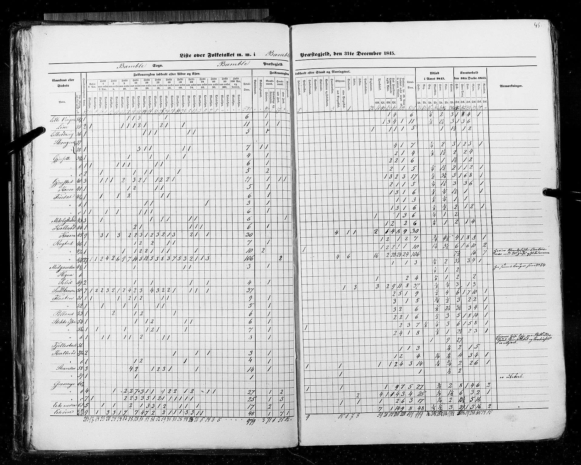 RA, Census 1845, vol. 5: Bratsberg amt og Nedenes og Råbyggelaget amt, 1845, p. 45