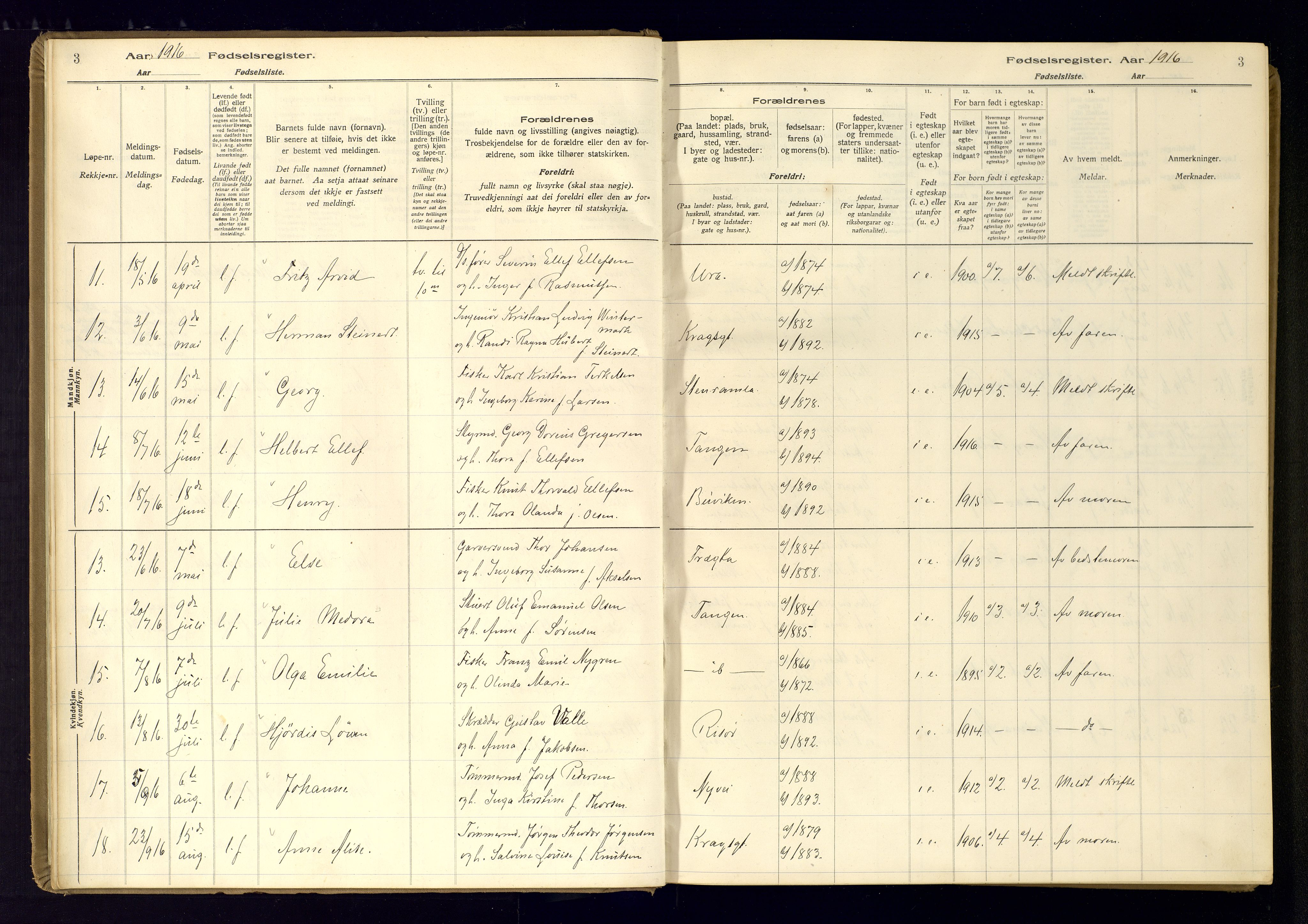 Risør sokneprestkontor, AV/SAK-1111-0035/J/Ja/L0001: Birth register no. A-VI-13, 1916-1947, p. 3