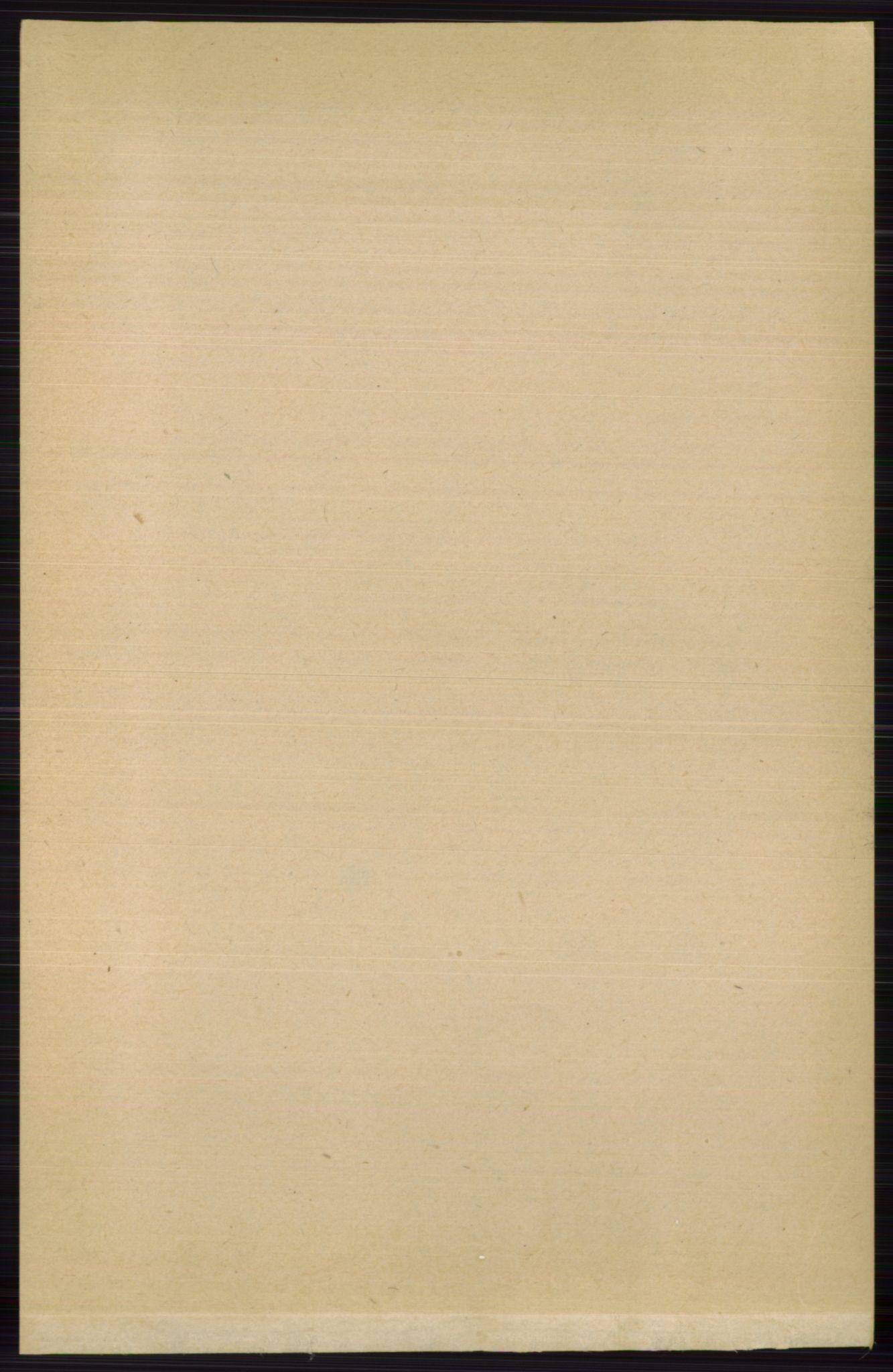 RA, 1891 census for 0815 Skåtøy, 1891, p. 2894