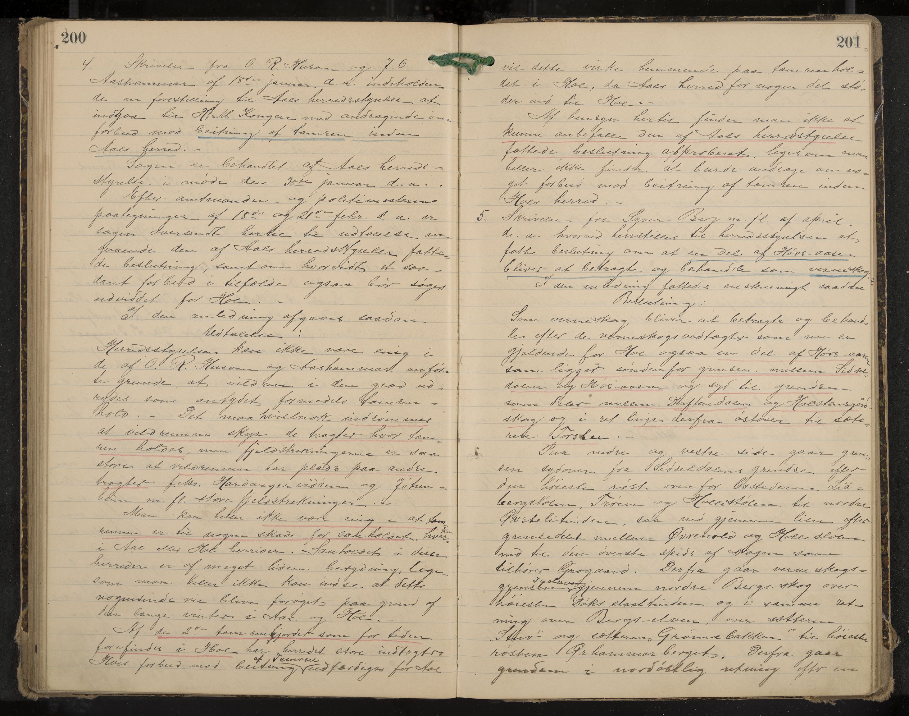 Hol formannskap og sentraladministrasjon, IKAK/0620021-1/A/L0003: Møtebok, 1897-1904, p. 200-201