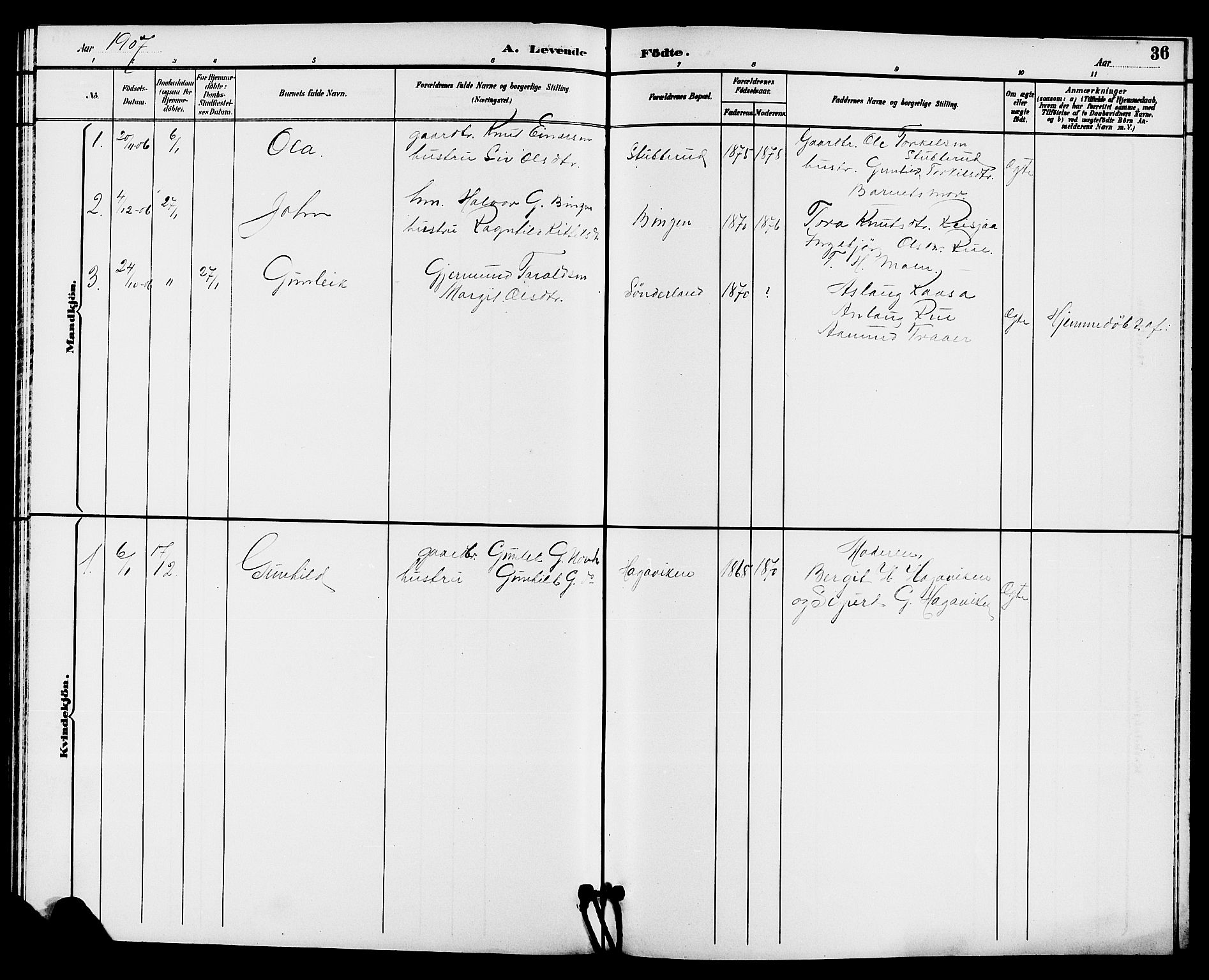 Hjartdal kirkebøker, SAKO/A-270/G/Gc/L0003: Parish register (copy) no. III 3, 1890-1907, p. 36