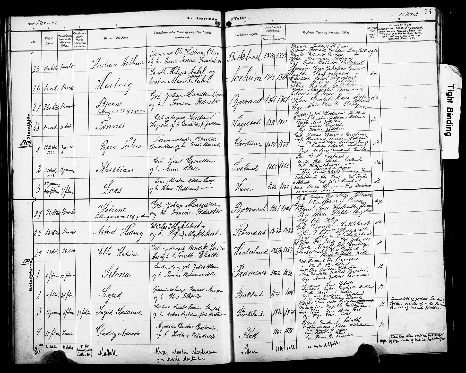 Birkenes sokneprestkontor, SAK/1111-0004/F/Fb/L0004: Parish register (copy) no. B 4, 1893-1930, p. 74