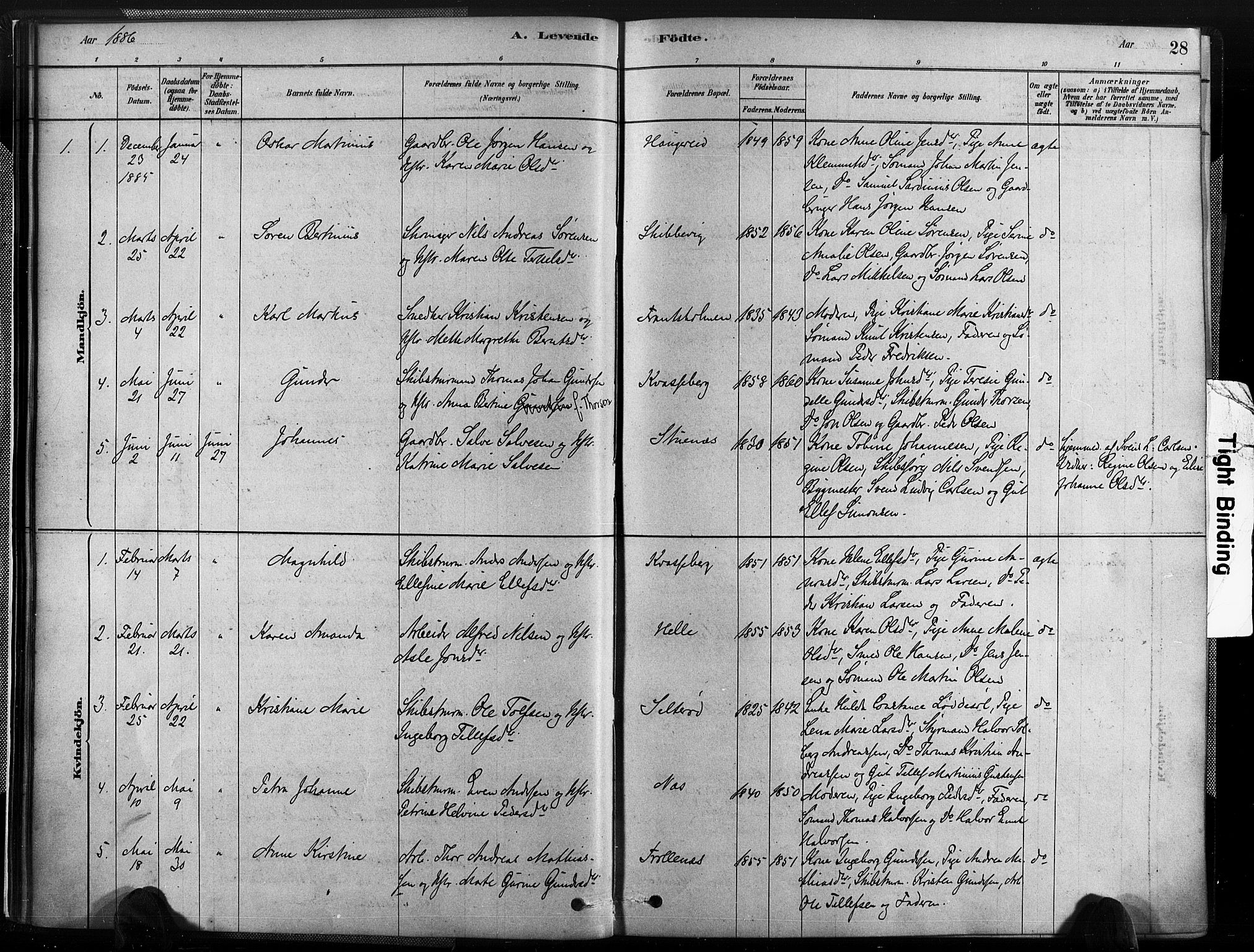 Austre Moland sokneprestkontor, SAK/1111-0001/F/Fa/Fab/L0001: Parish register (official) no. A 1, 1878-1898, p. 28
