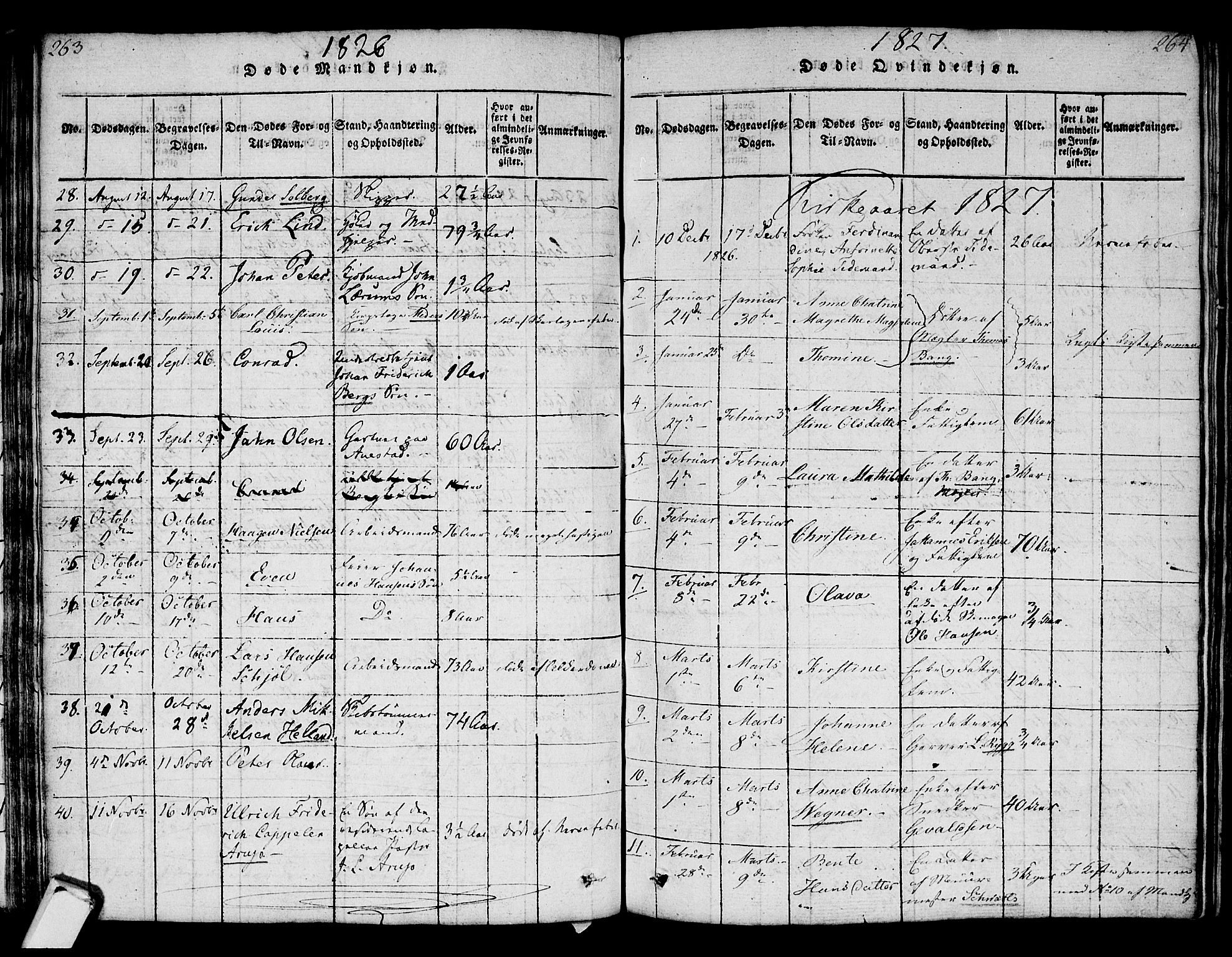 Strømsø kirkebøker, SAKO/A-246/F/Fa/L0011: Parish register (official) no. I 11, 1815-1829, p. 263-264