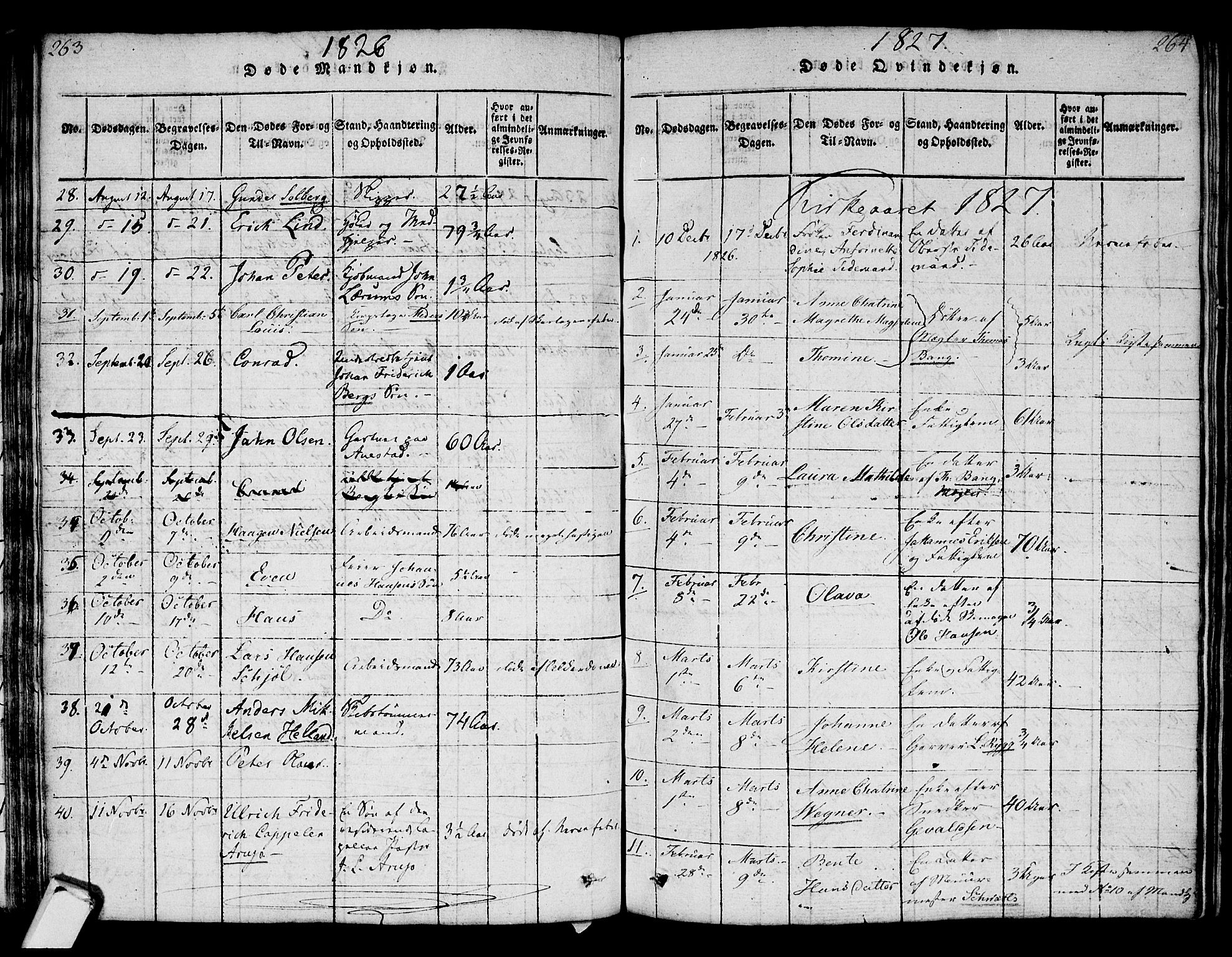 Strømsø kirkebøker, AV/SAKO-A-246/F/Fa/L0011: Parish register (official) no. I 11, 1815-1829, p. 263-264